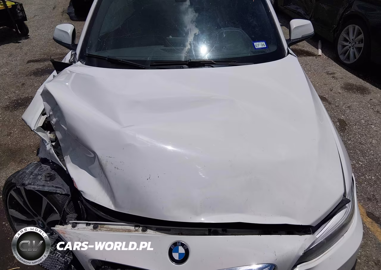 2018 BMW 230I VIN:WBA2J1C53JVB98550 - 10