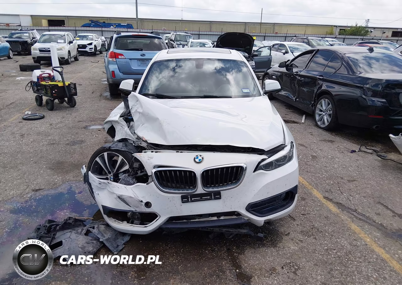 2018 BMW 230I VIN:WBA2J1C53JVB98550 - 12