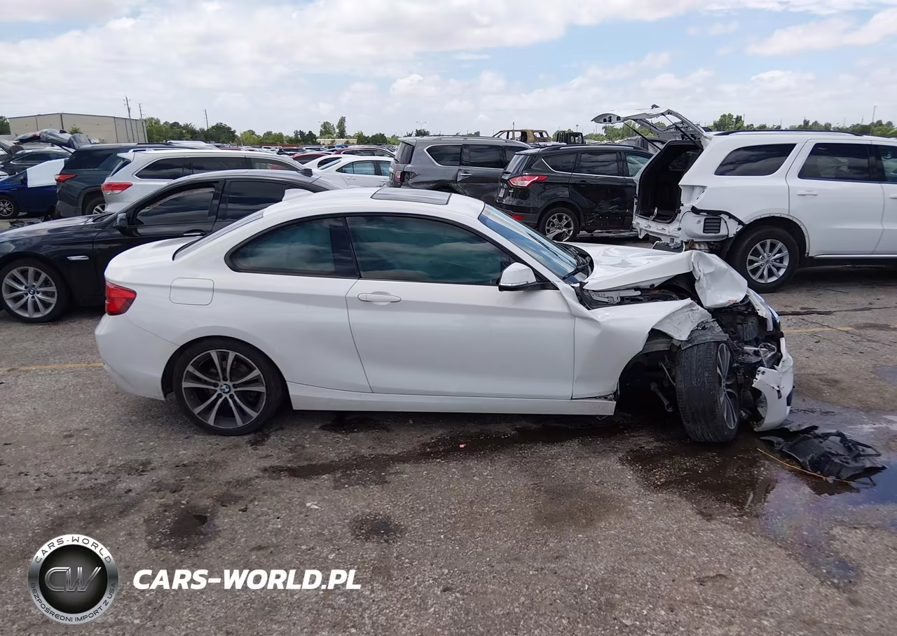 2018 BMW 230I VIN:WBA2J1C53JVB98550 - 13