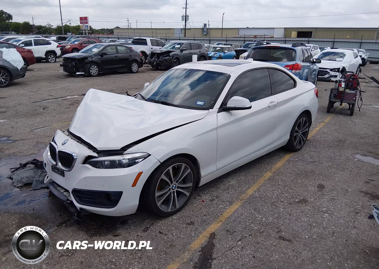 2018 BMW 230I VIN:WBA2J1C53JVB98550 - 2