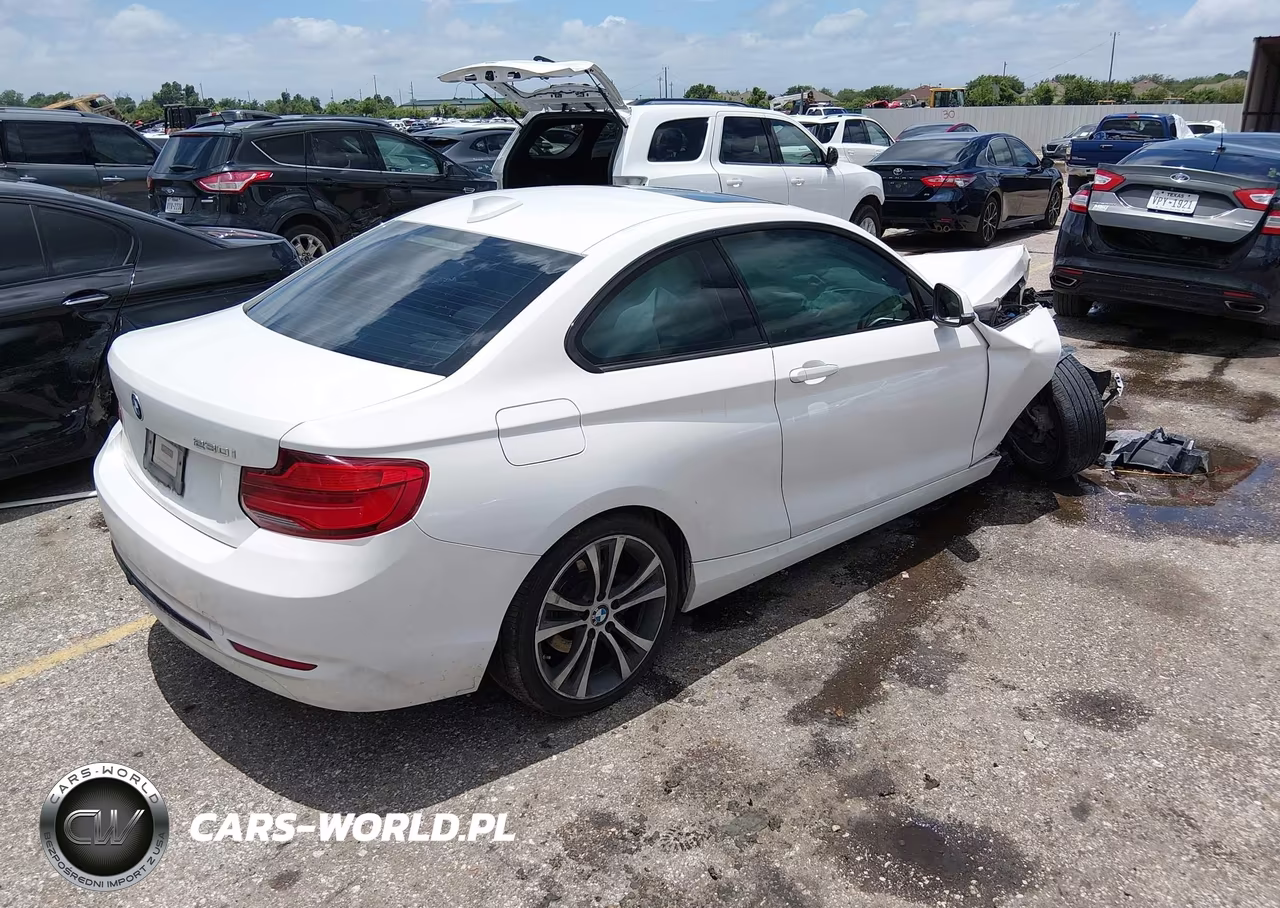 2018 BMW 230I VIN:WBA2J1C53JVB98550 - 4