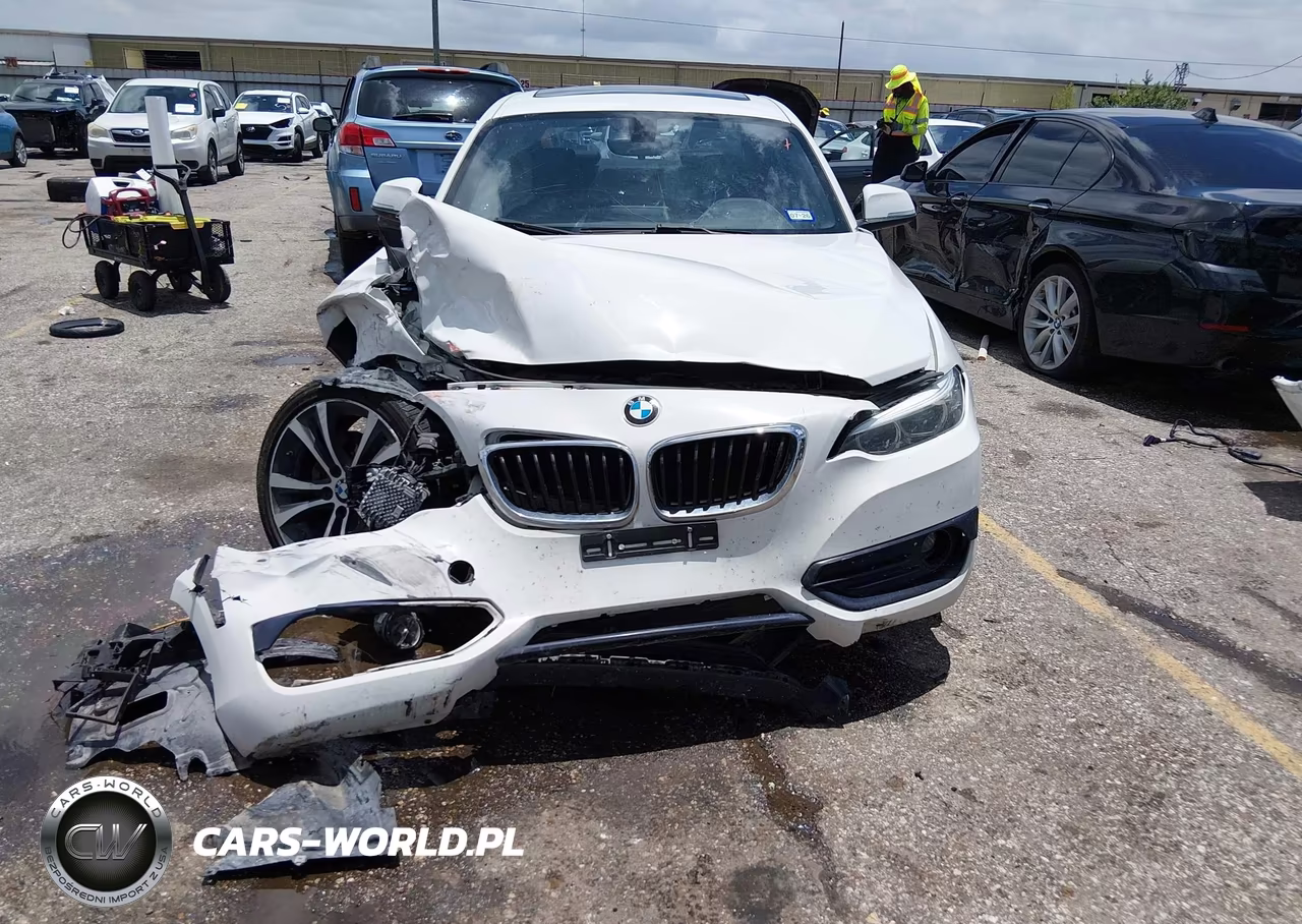 2018 BMW 230I VIN:WBA2J1C53JVB98550 - 6