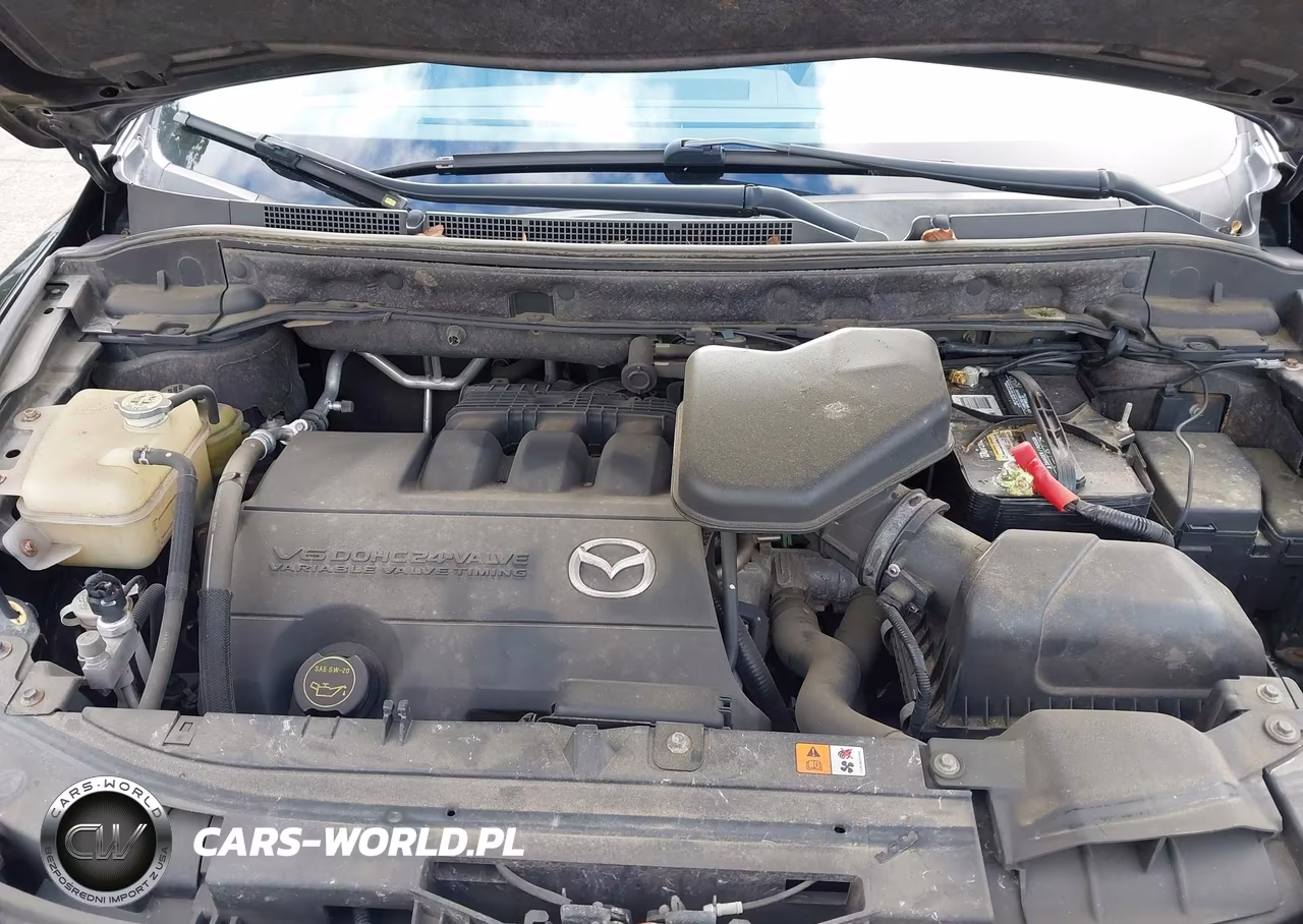 2011 Mazda Cx-9 Grand Touring VIN:JM3TB3DA8B0319779 - 10