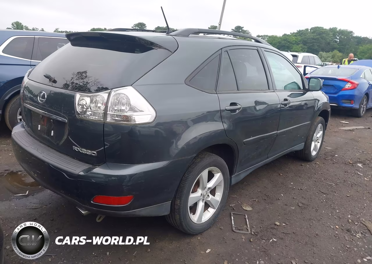 2005 Lexus Rx 330 VIN:2T2HA31U35C050869 - 4
