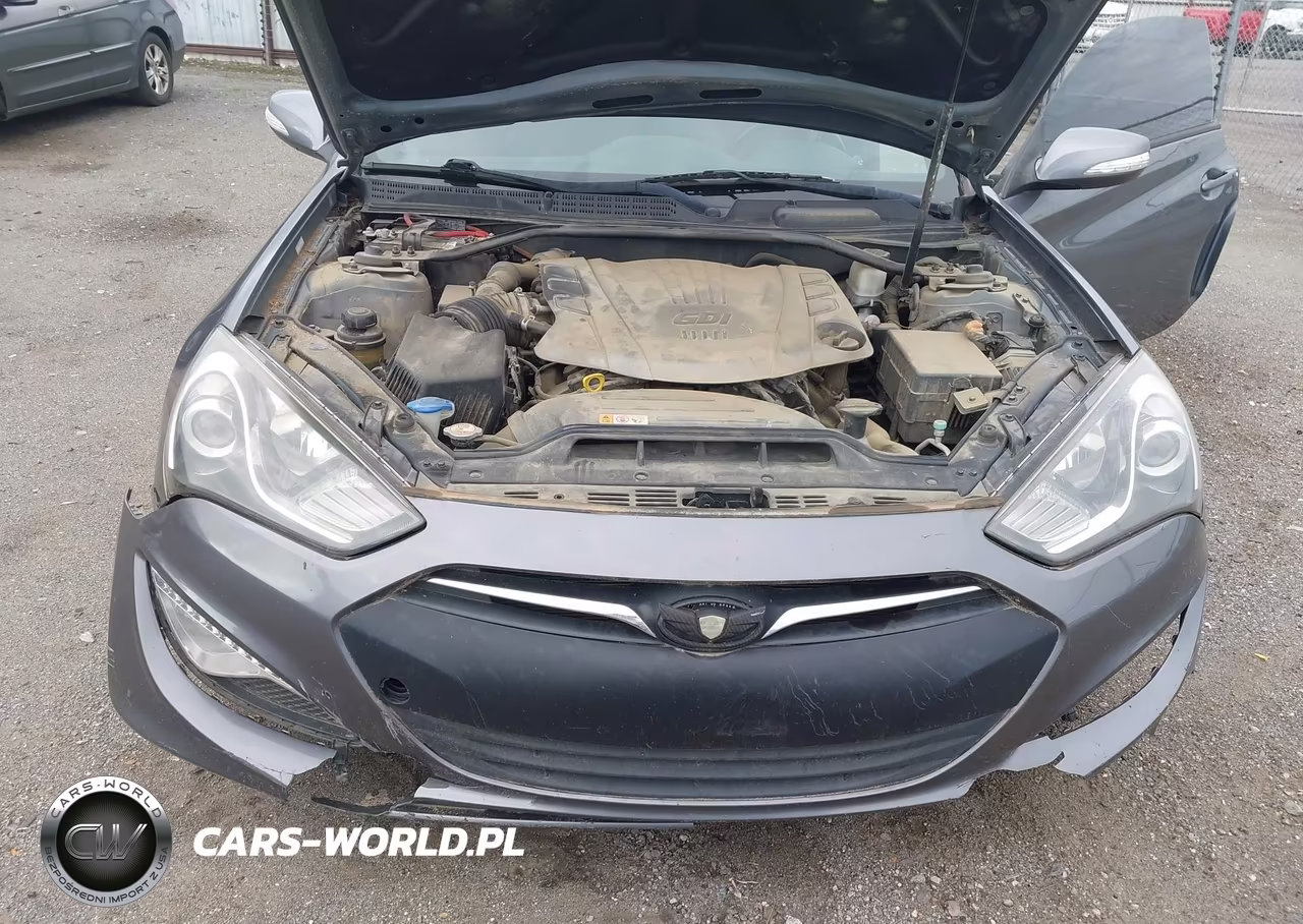 2016 Hyundai Genesis 3.8 Ultimate VIN:KMHHU6KJ6GU132825 - 10