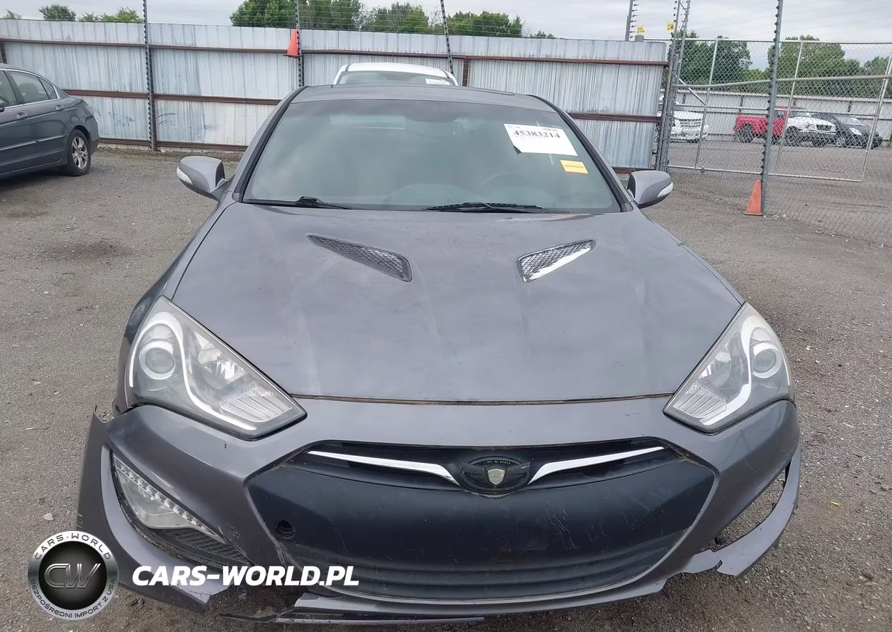 2016 Hyundai Genesis 3.8 Ultimate VIN:KMHHU6KJ6GU132825 - 12
