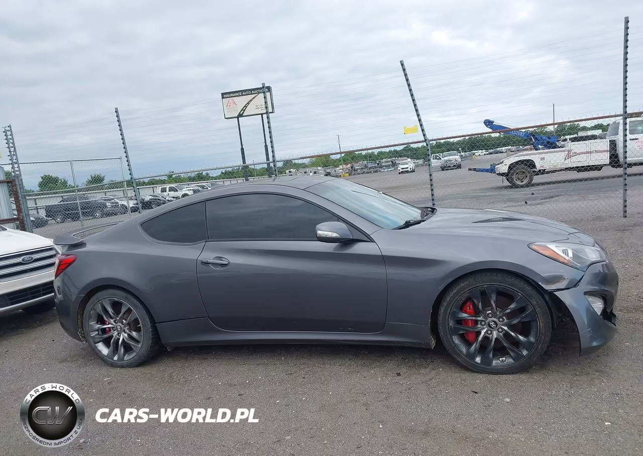 2016 Hyundai Genesis 3.8 Ultimate VIN:KMHHU6KJ6GU132825 - 13