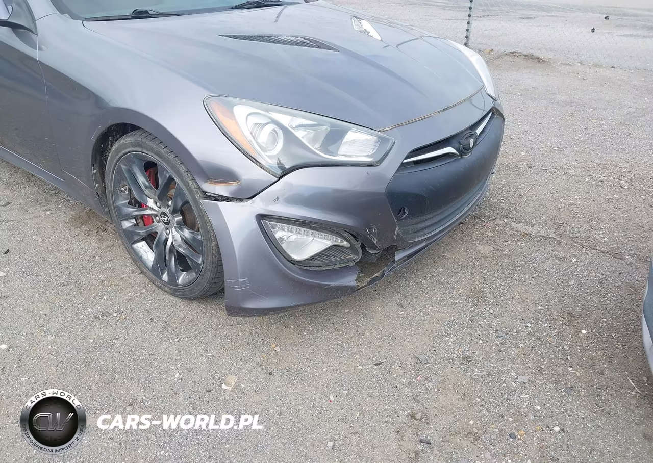 2016 Hyundai Genesis 3.8 Ultimate VIN:KMHHU6KJ6GU132825 - 6