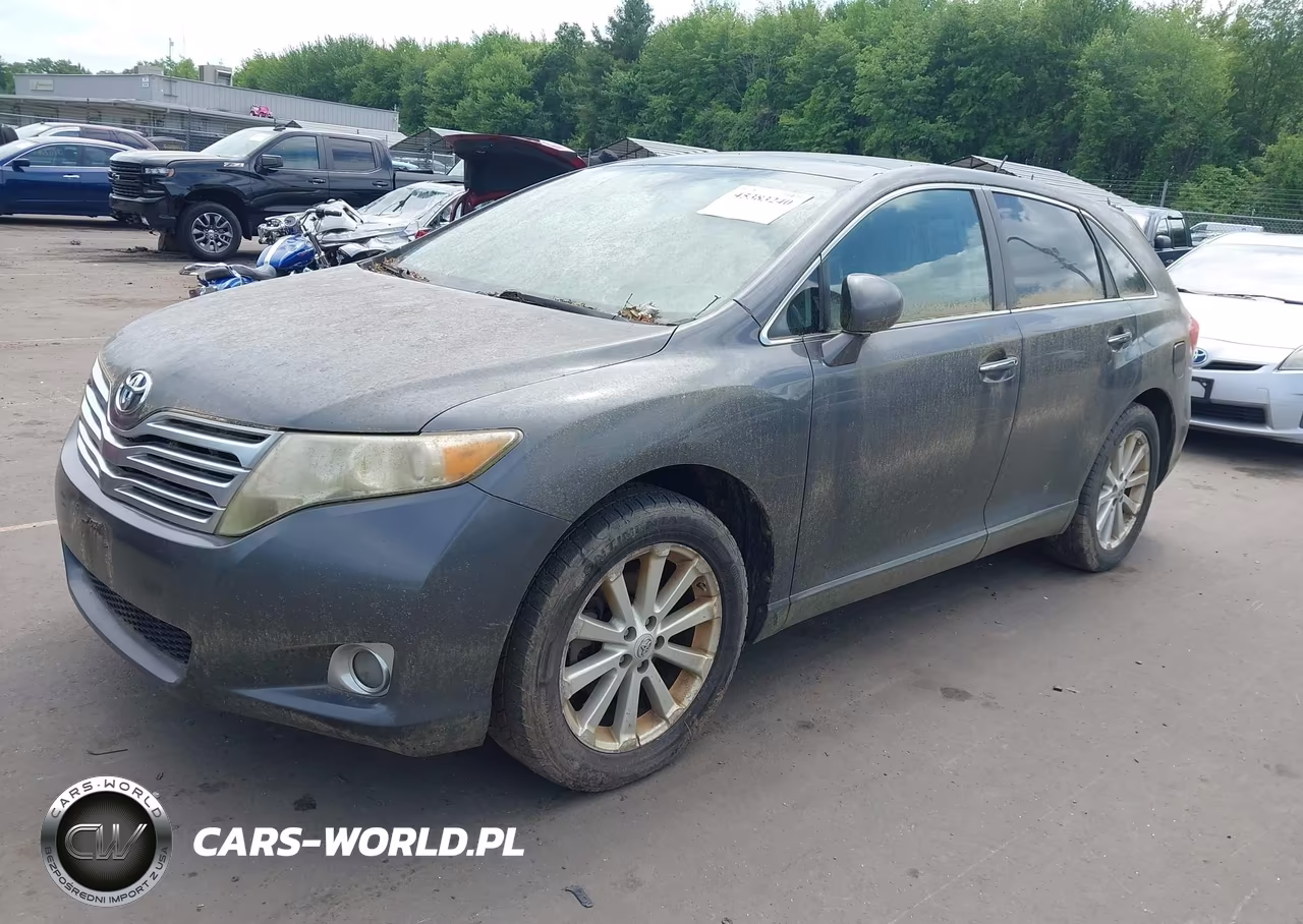 2009 Toyota Venza VIN:4T3BE11A79U004420 - 2