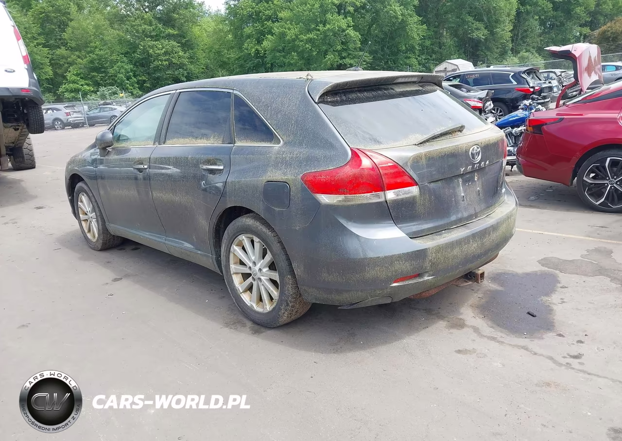 2009 Toyota Venza VIN:4T3BE11A79U004420 - 3