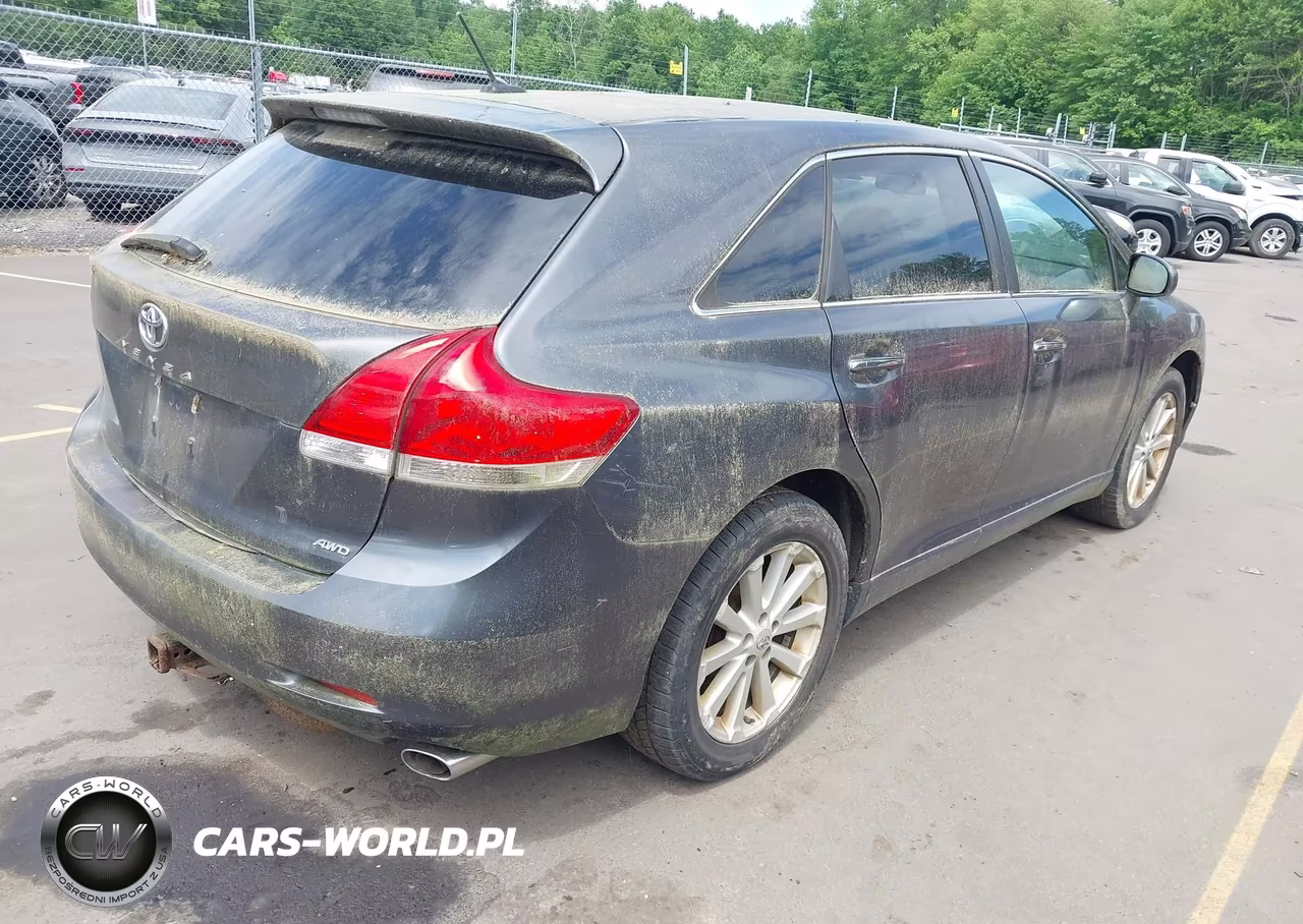 2009 Toyota Venza VIN:4T3BE11A79U004420 - 4