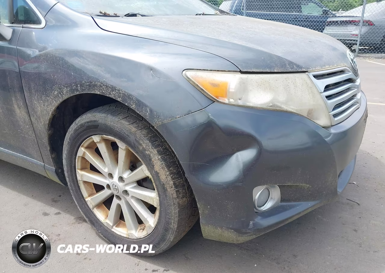 2009 Toyota Venza VIN:4T3BE11A79U004420 - 6