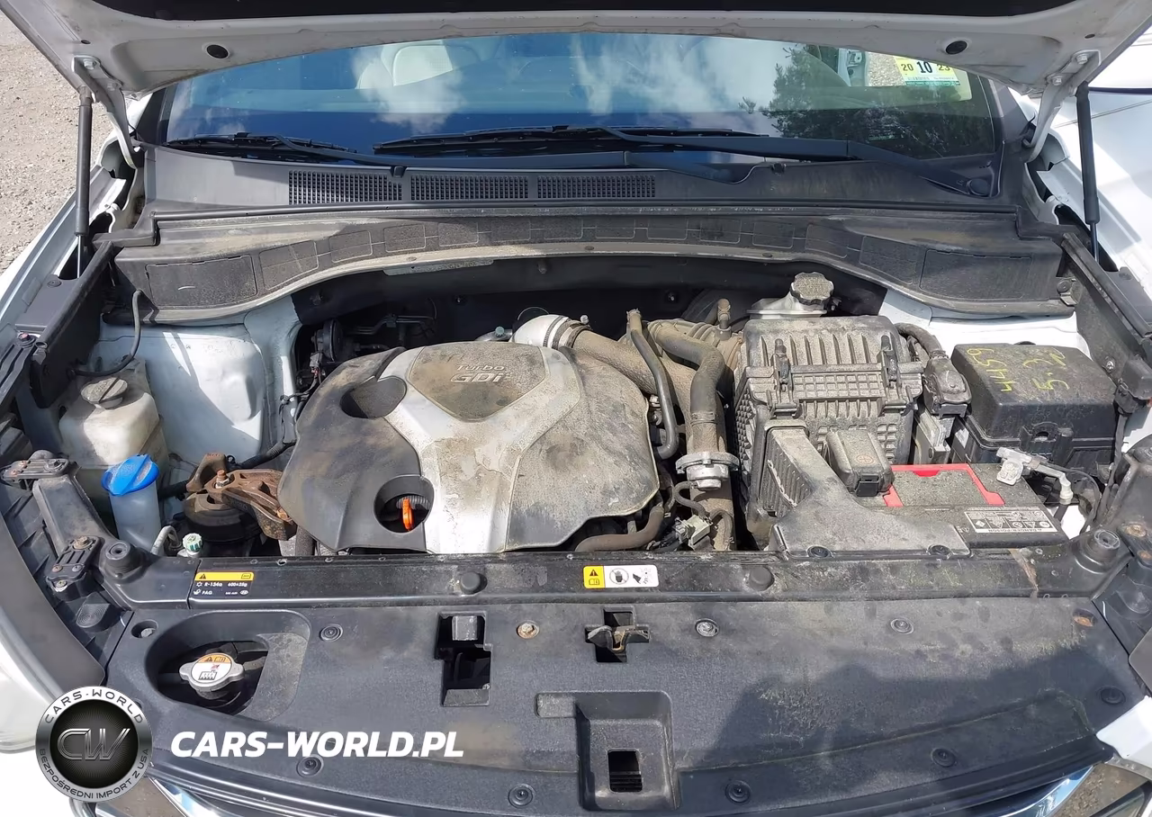 2014 Hyundai Santa Fe Sport 2.0L Turbo VIN:5XYZUDLA3EG173407 - 10