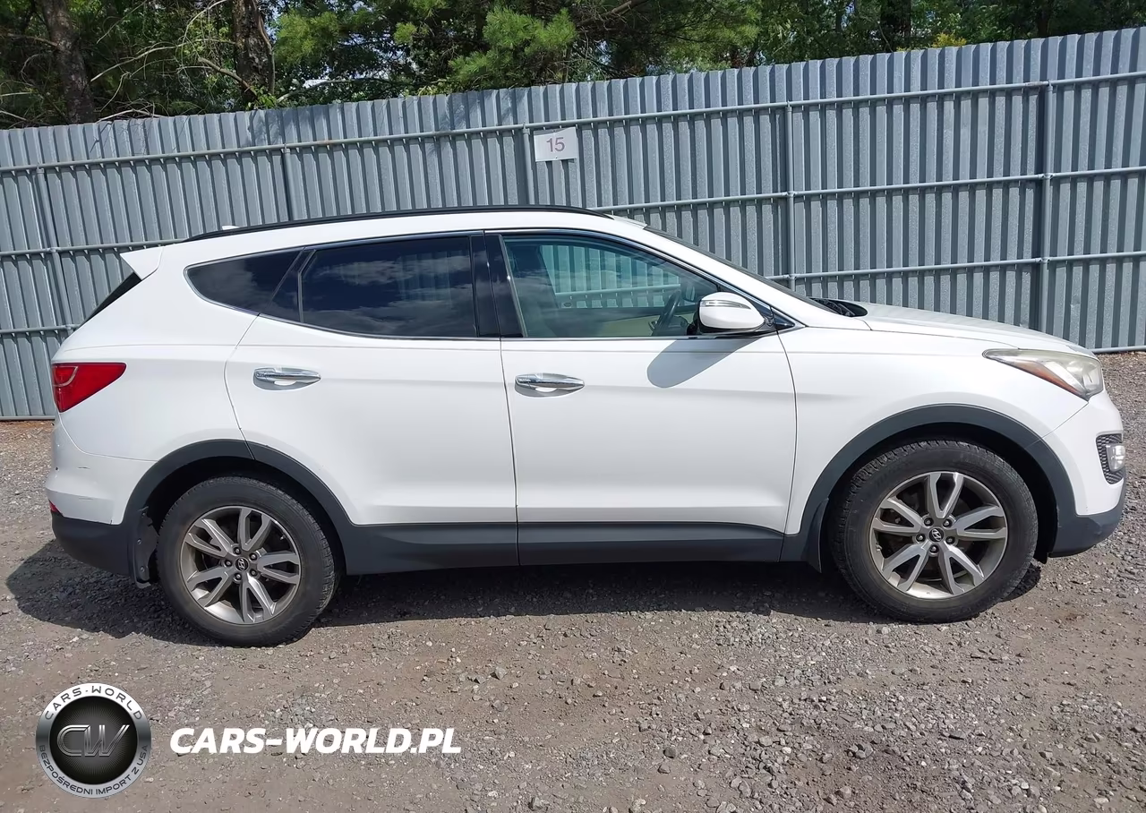 2014 Hyundai Santa Fe Sport 2.0L Turbo VIN:5XYZUDLA3EG173407 - 13