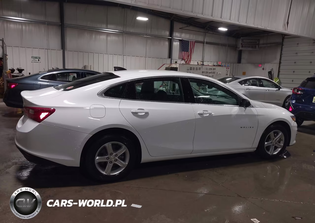 2020 Chevrolet Malibu Fwd 1Fl VIN:1G1ZC5ST8LF136793 - 13