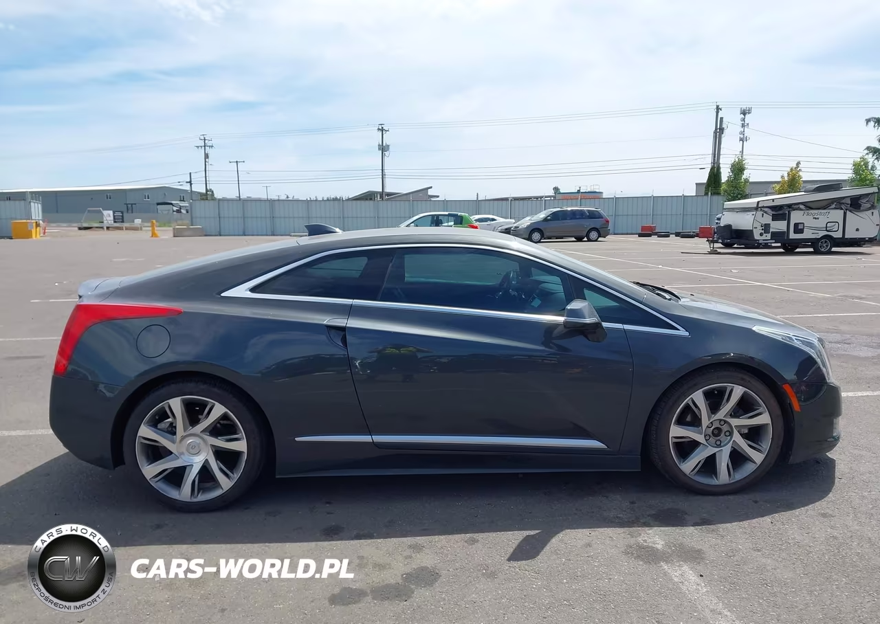 2014 Cadillac Elr Standard VIN:1G6RM1E49EU601276 - 13