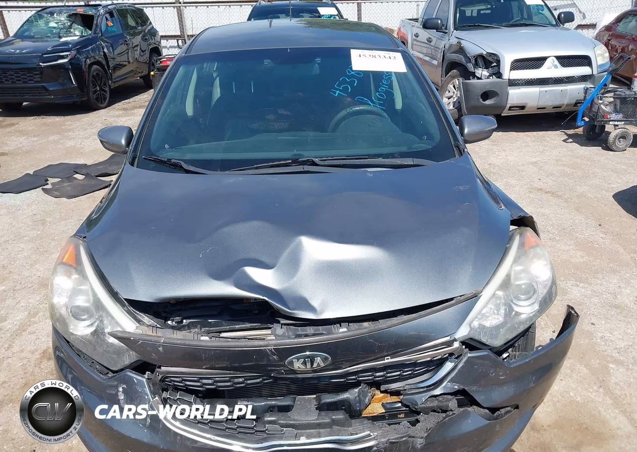 2016 Kia Forte Lx VIN:KNAFK5A80G5604664 - 12