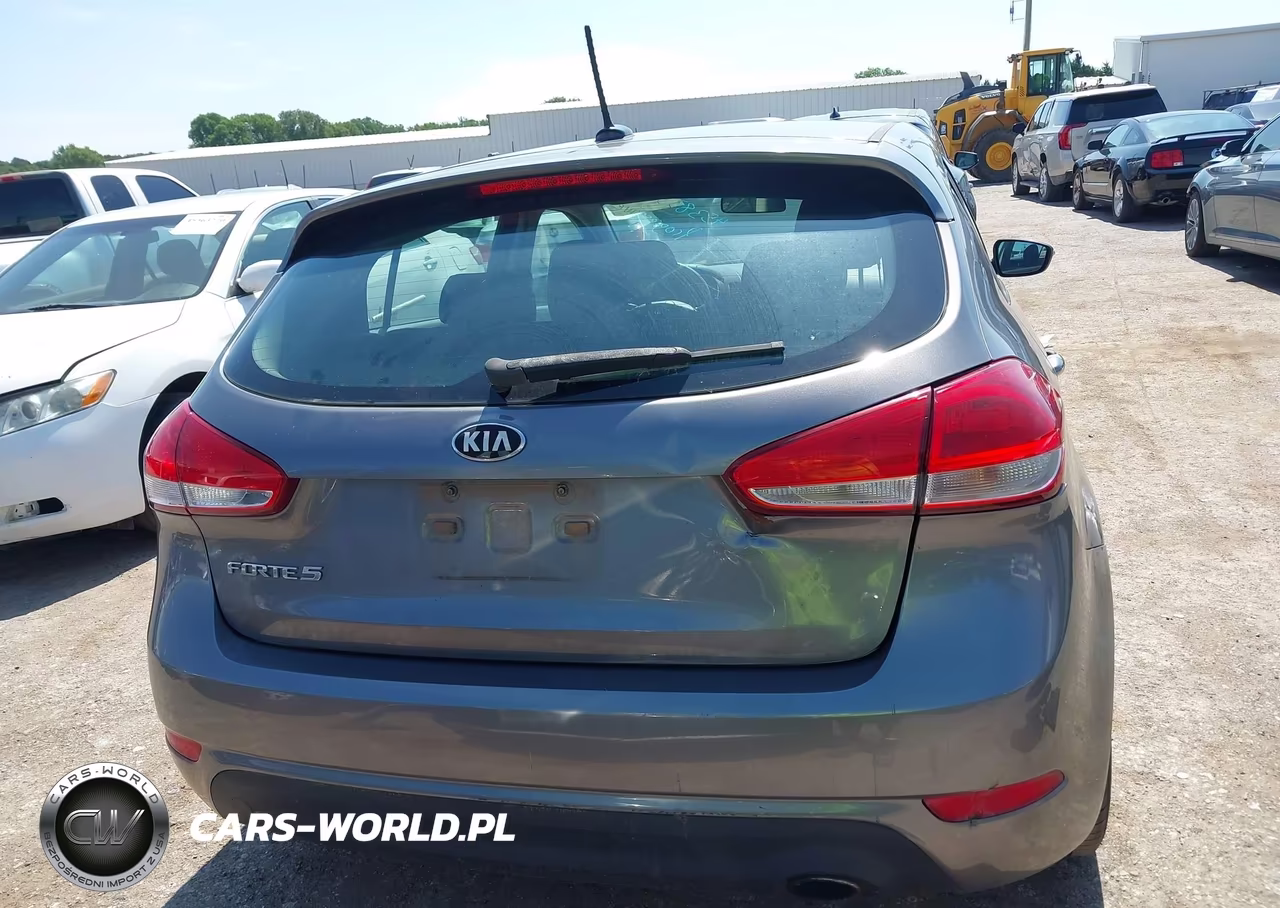 2016 Kia Forte Lx VIN:KNAFK5A80G5604664 - 16