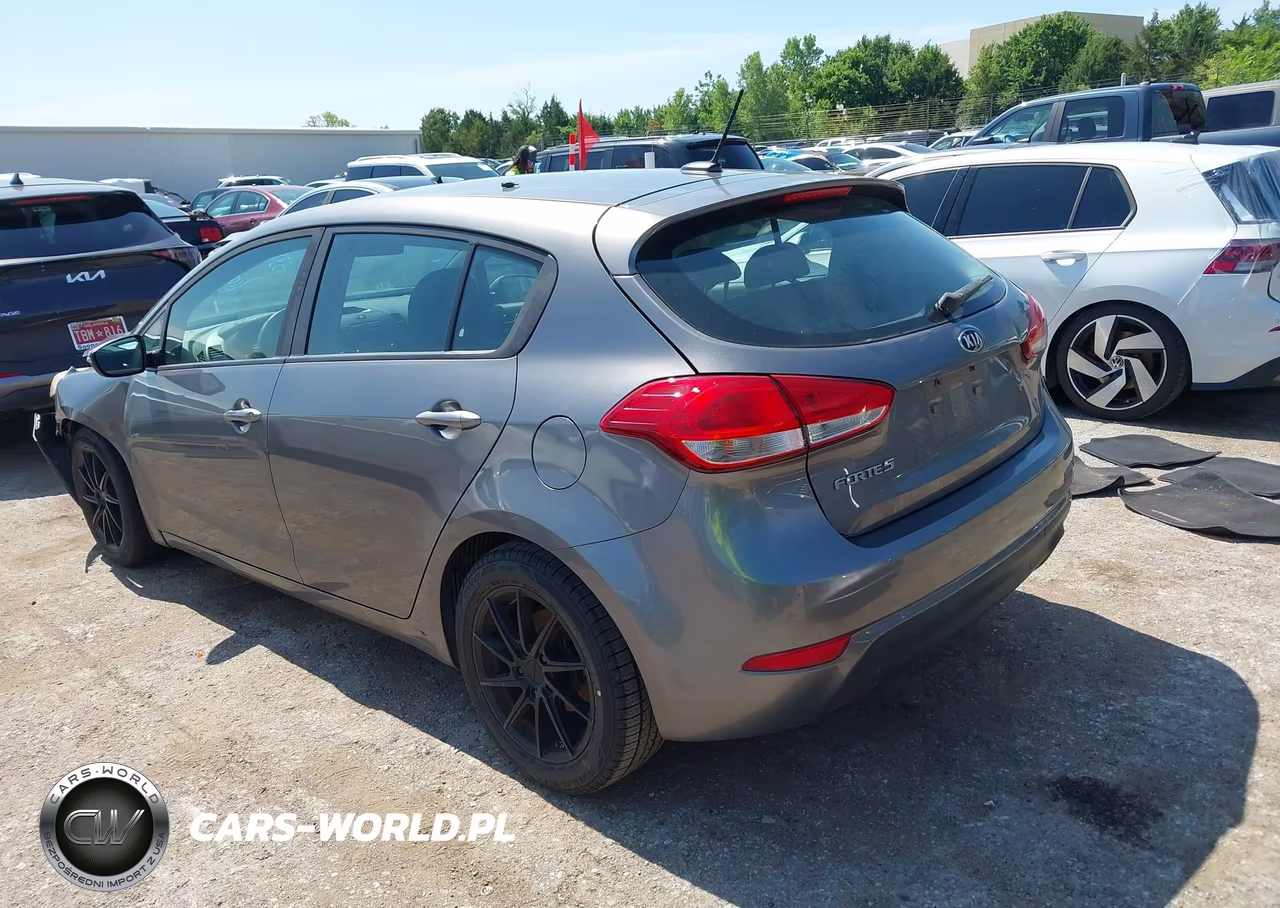 2016 Kia Forte Lx VIN:KNAFK5A80G5604664 - 3