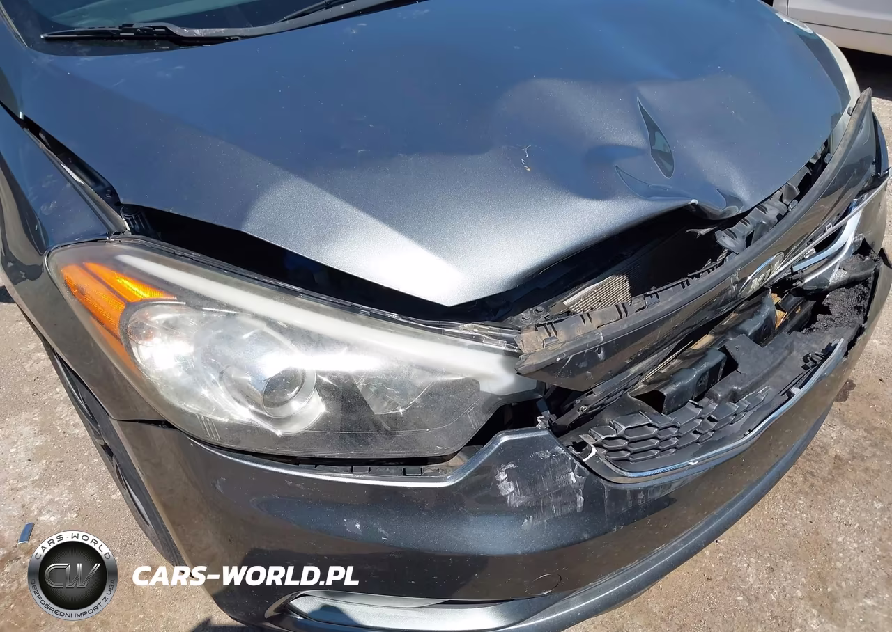2016 Kia Forte Lx VIN:KNAFK5A80G5604664 - 6