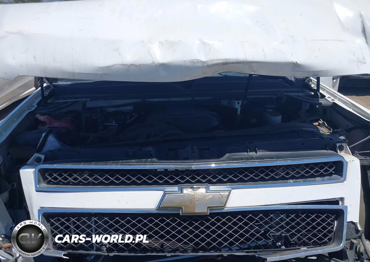 2009 Chevrolet Tahoe Ls VIN:1GNFC13C29R172995 - 10