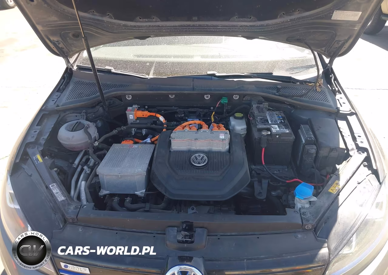 2015 Volkswagen E-Golf Sel Premium VIN:WVWPP7AU5FW909927 - 10