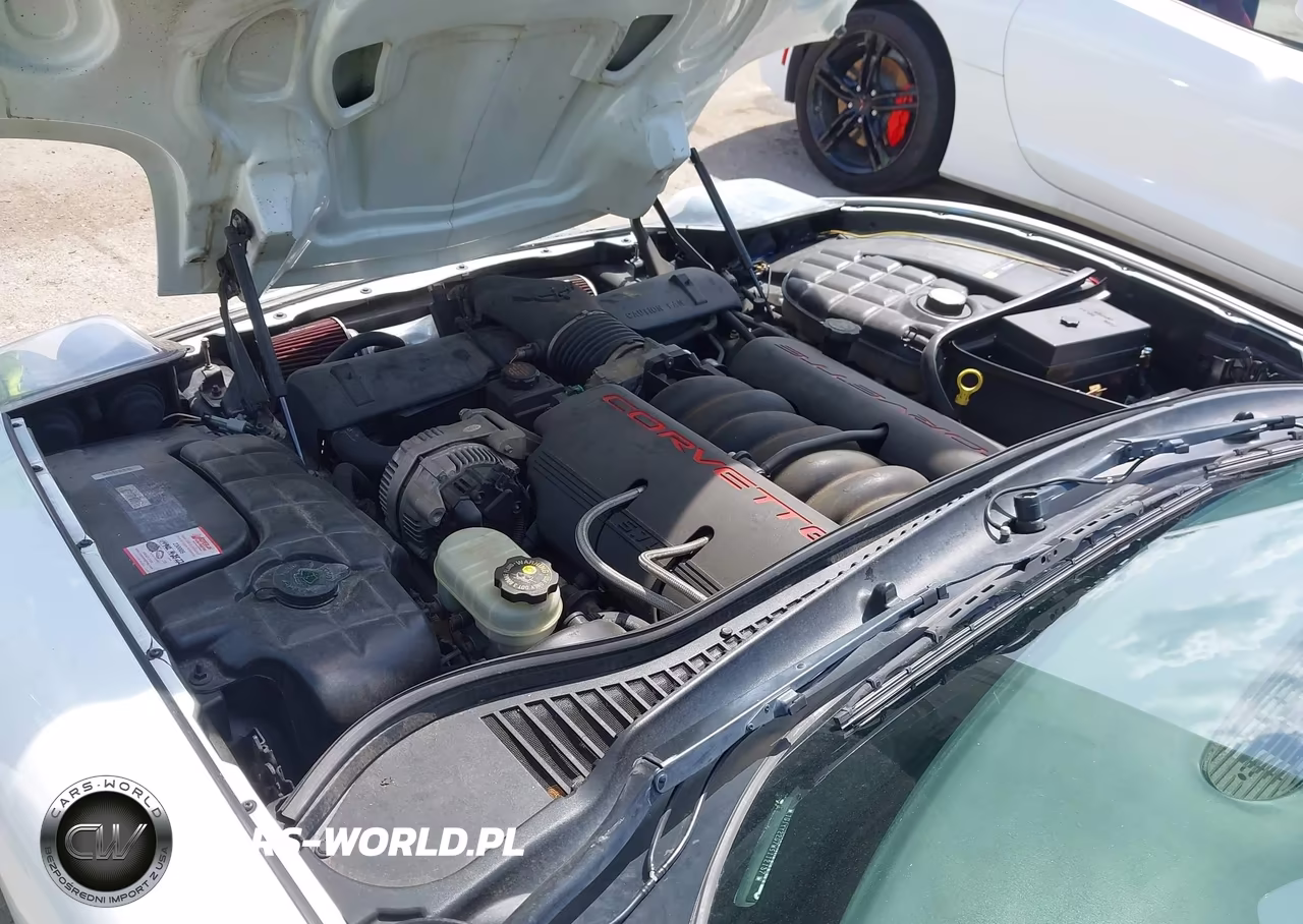 1998 Chevrolet Corvette VIN:1G1YY22G7W5112137 - 10