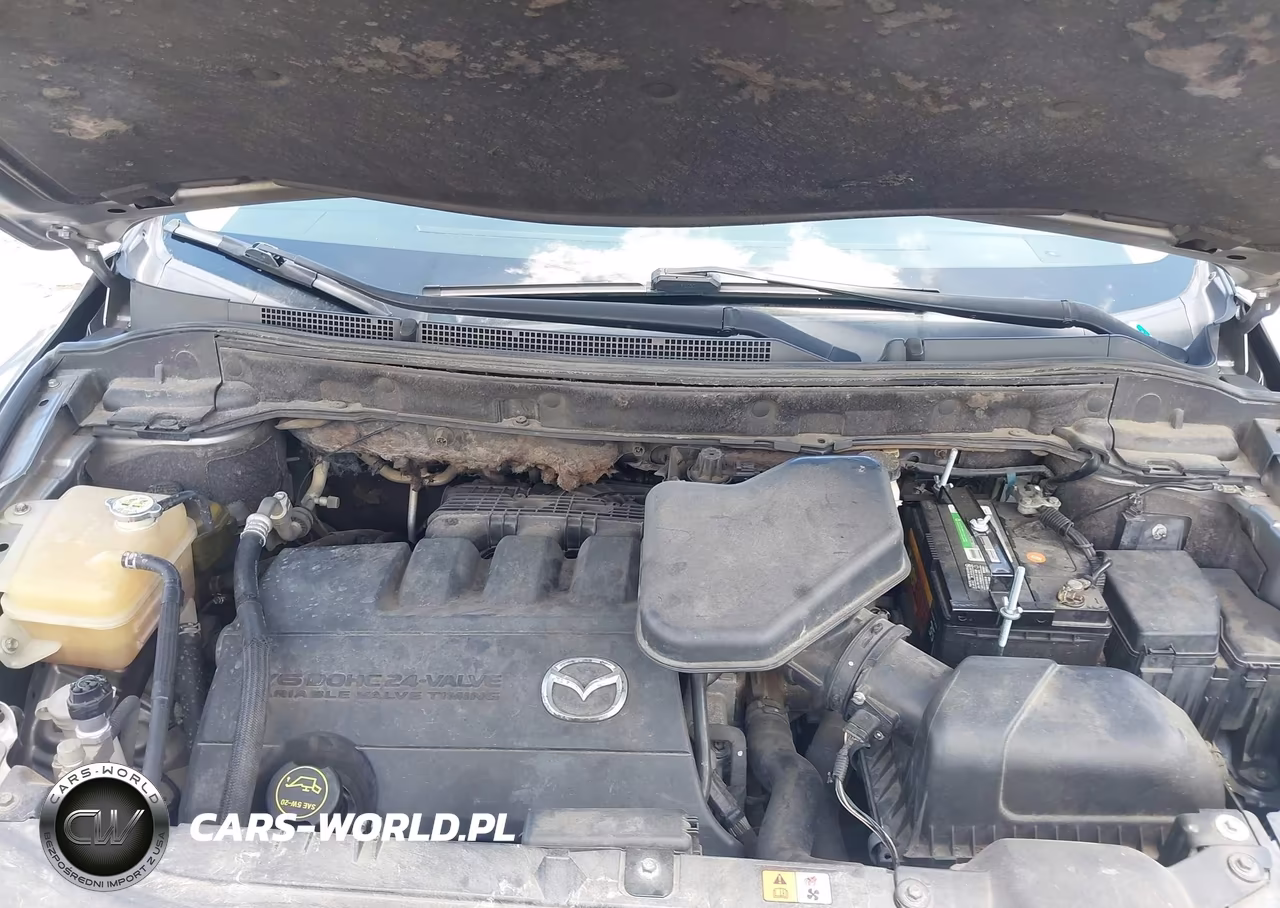 2010 Mazda Cx-9 Touring VIN:JM3TB2MA4A0232101 - 10