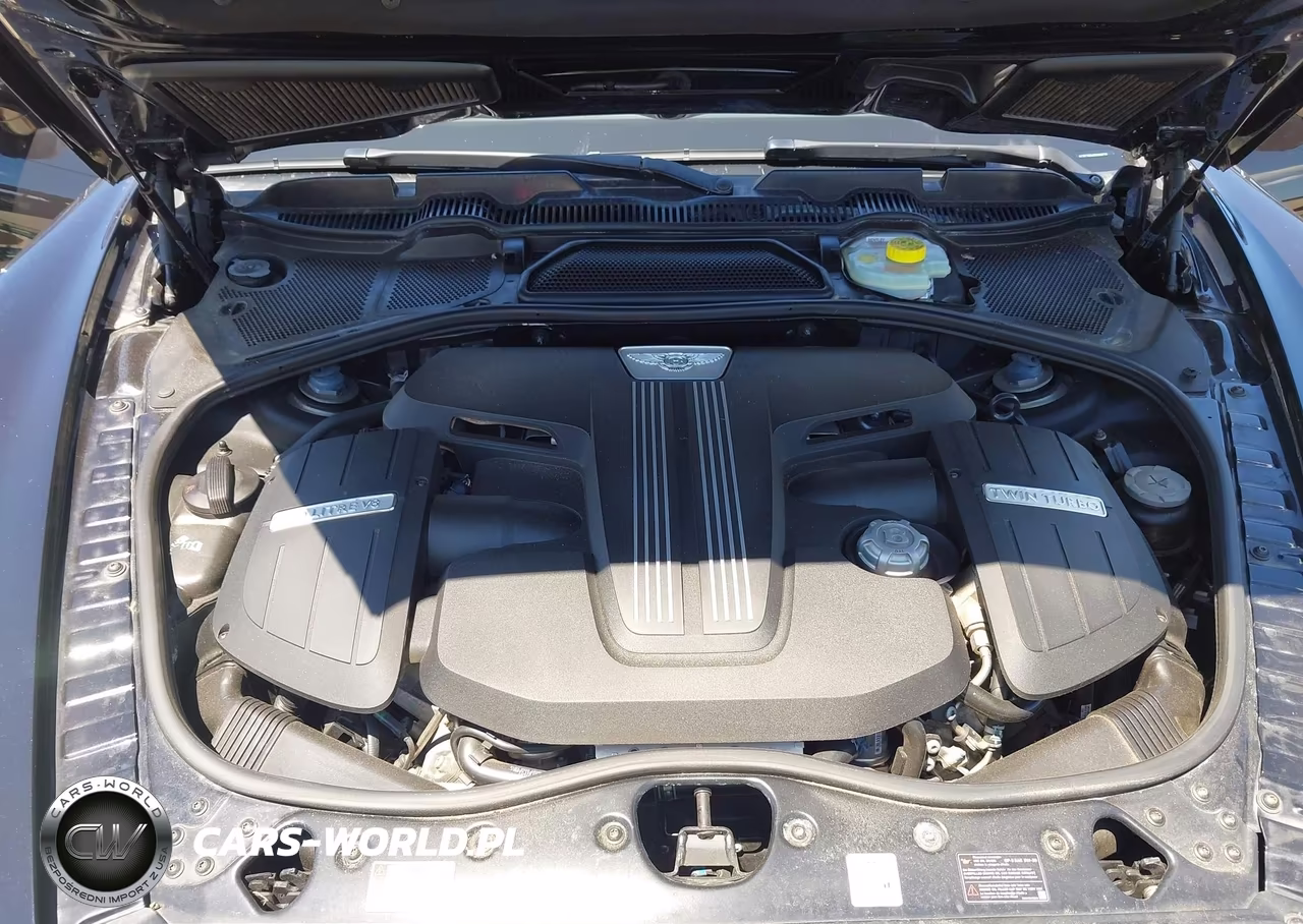 2016 Bentley Flying Spur V8 VIN:SCBET9ZAXG8050738 - 10