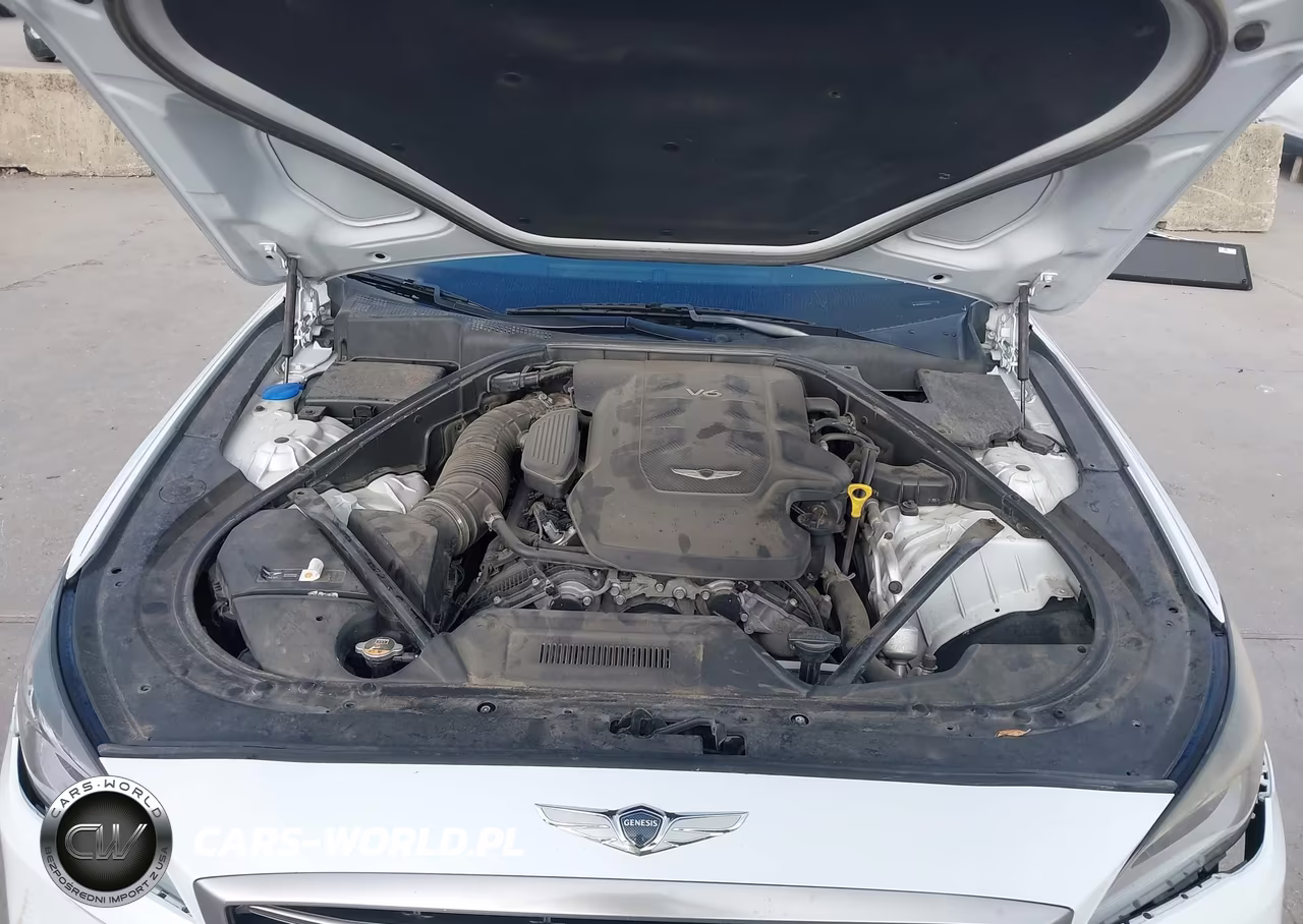 2018 Genesis G80 3.8 VIN:KMHGN4JEXJU224061 - 10