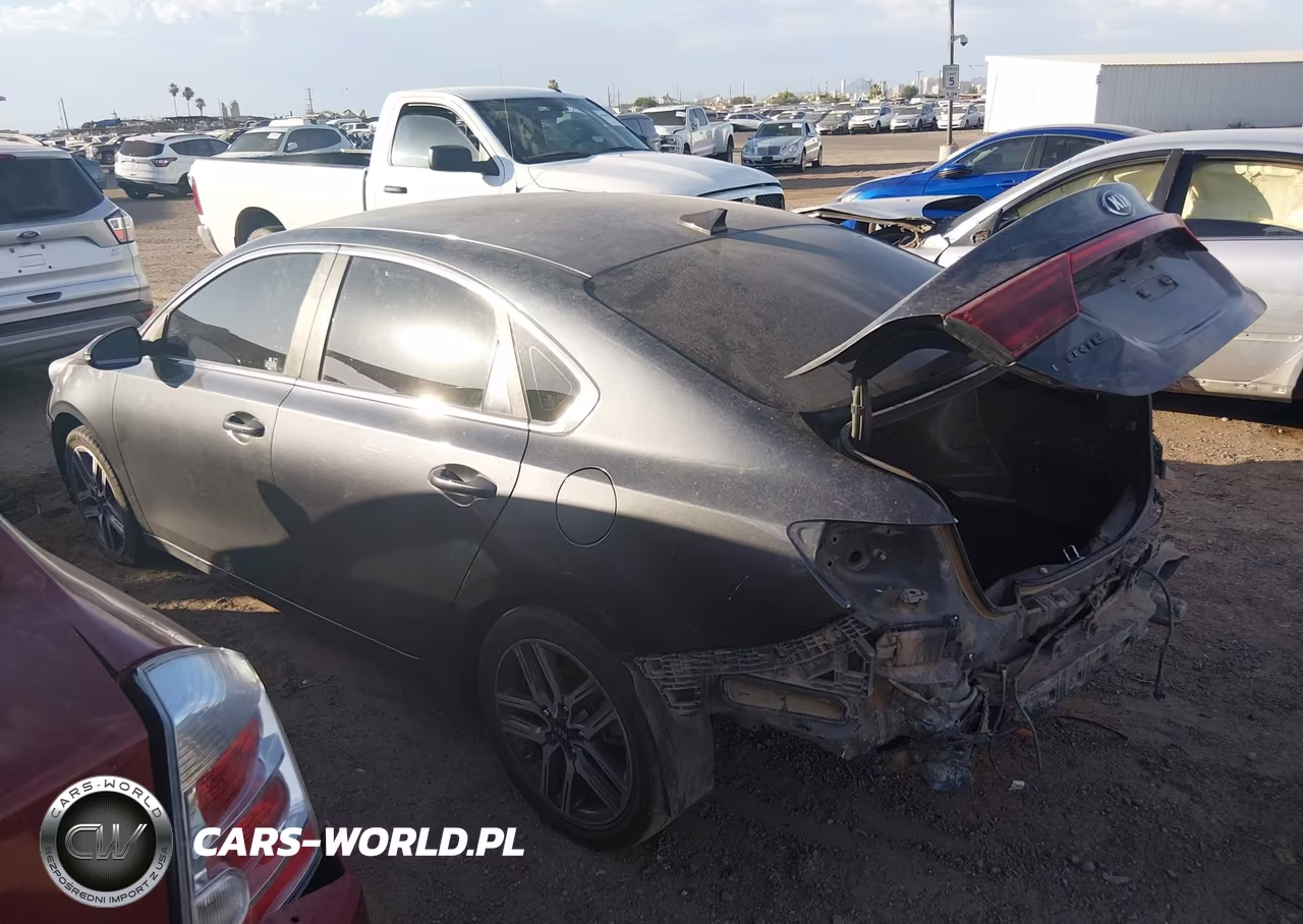 2019 Kia Forte Ex VIN:3KPF54AD3KE021472 - 15