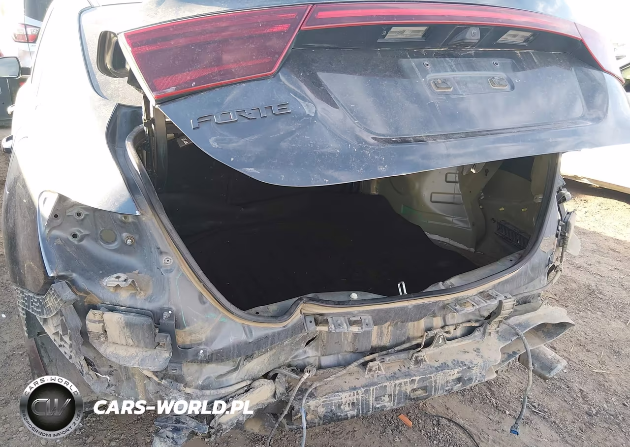 2019 Kia Forte Ex VIN:3KPF54AD3KE021472 - 6