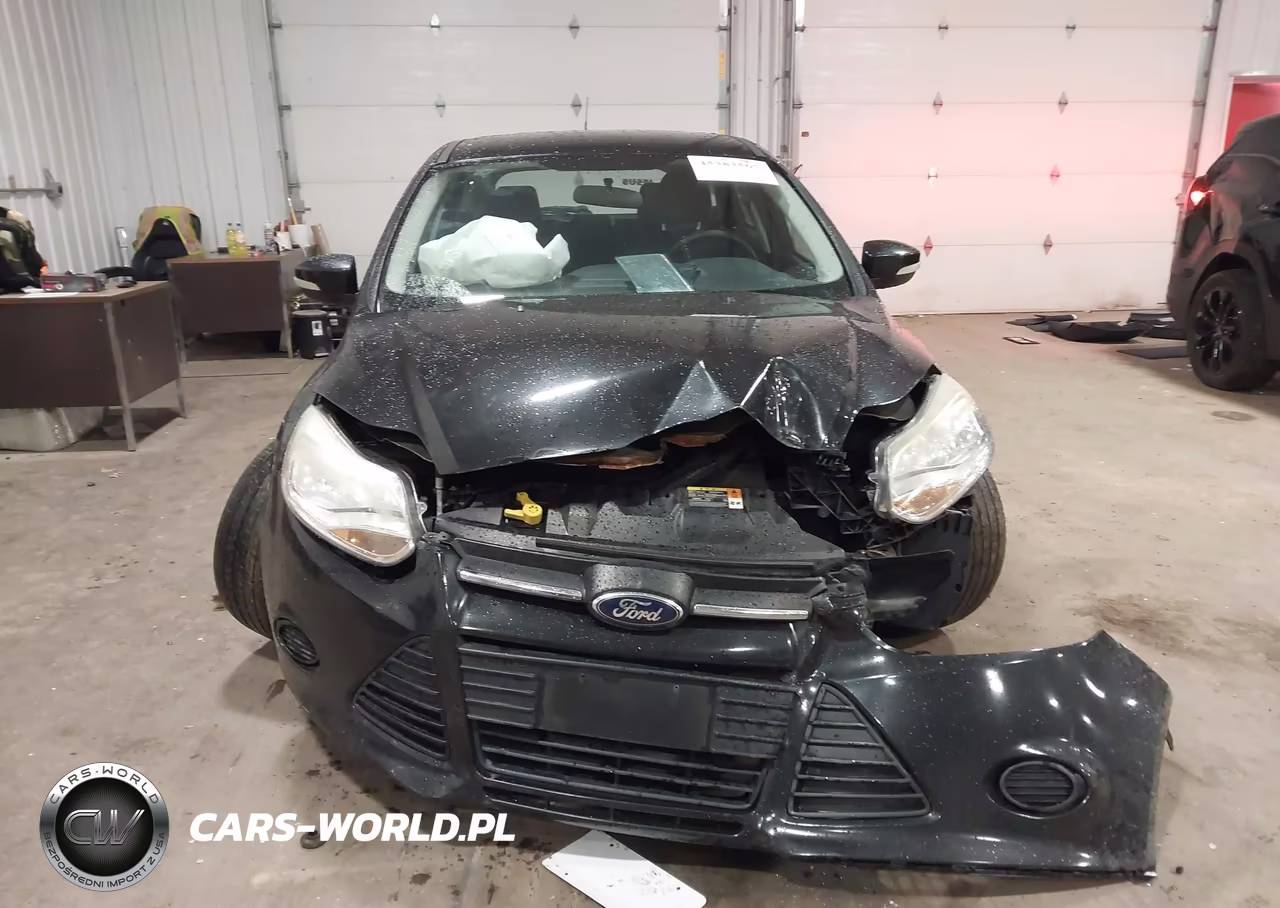 2014 Ford Focus Se VIN:1FADP3K22EL169316 - 12