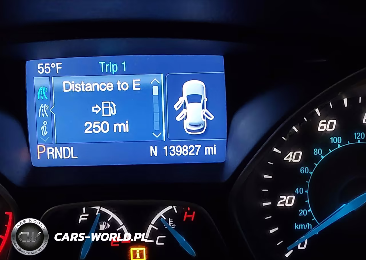 2014 Ford Focus Se VIN:1FADP3K22EL169316 - 15