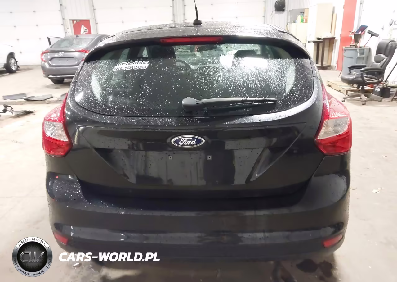 2014 Ford Focus Se VIN:1FADP3K22EL169316 - 16