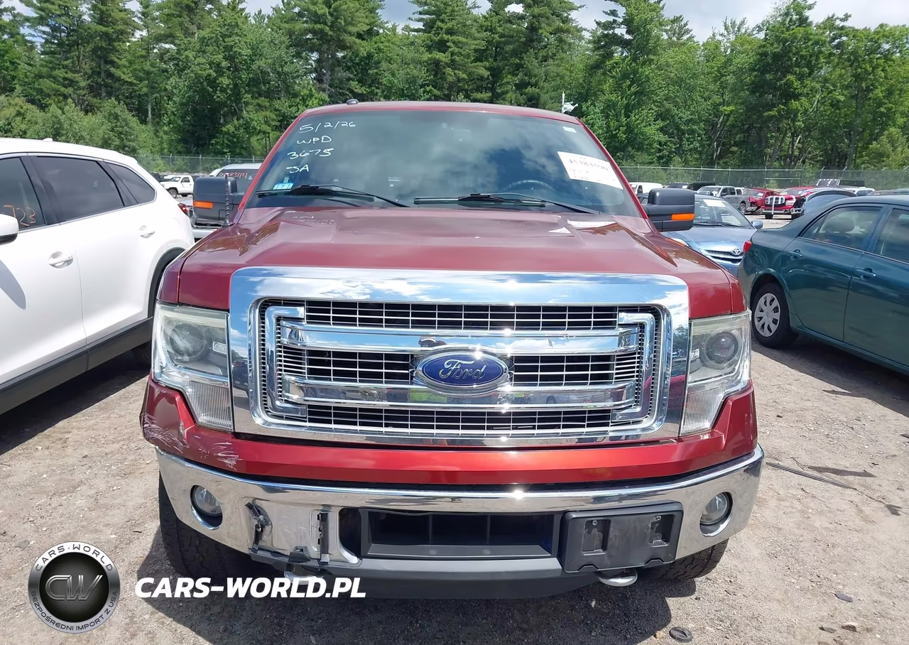 2014 Ford F-150 Xlt VIN:1FTFX1ET7EKF13675 - 12