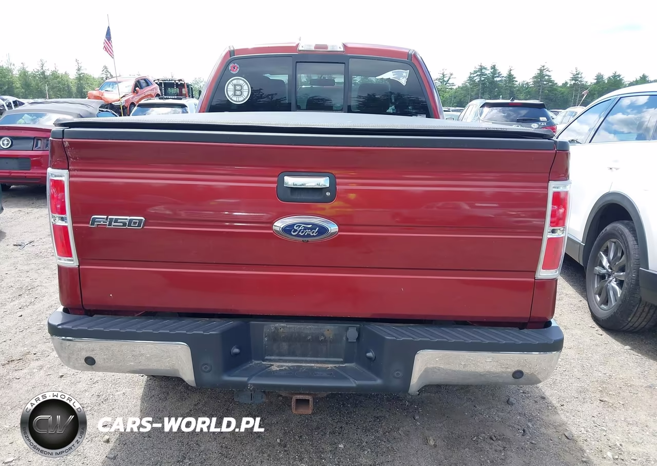 2014 Ford F-150 Xlt VIN:1FTFX1ET7EKF13675 - 16