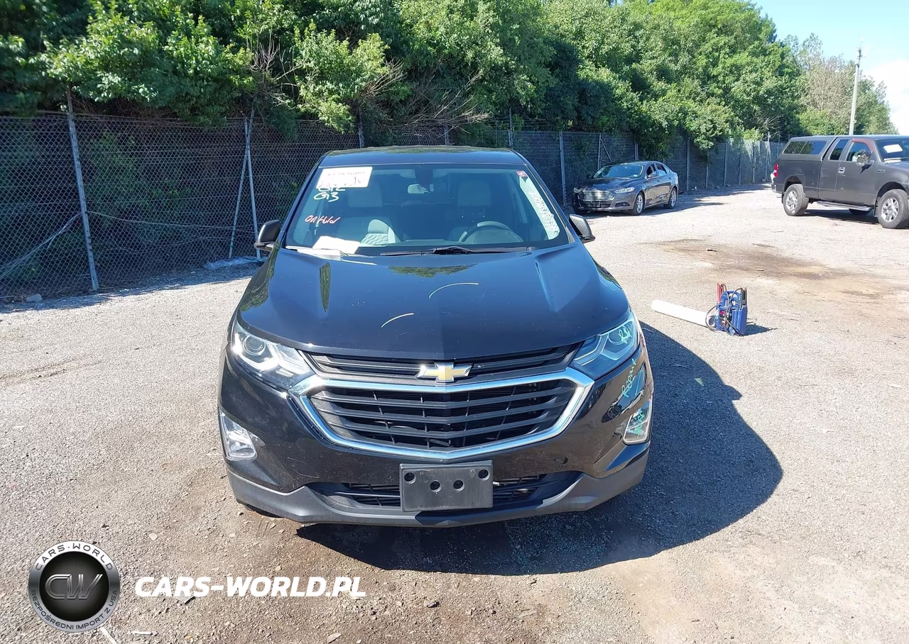 2019 Chevrolet Equinox Ls VIN:2GNAXHEV1K6228464 - 12