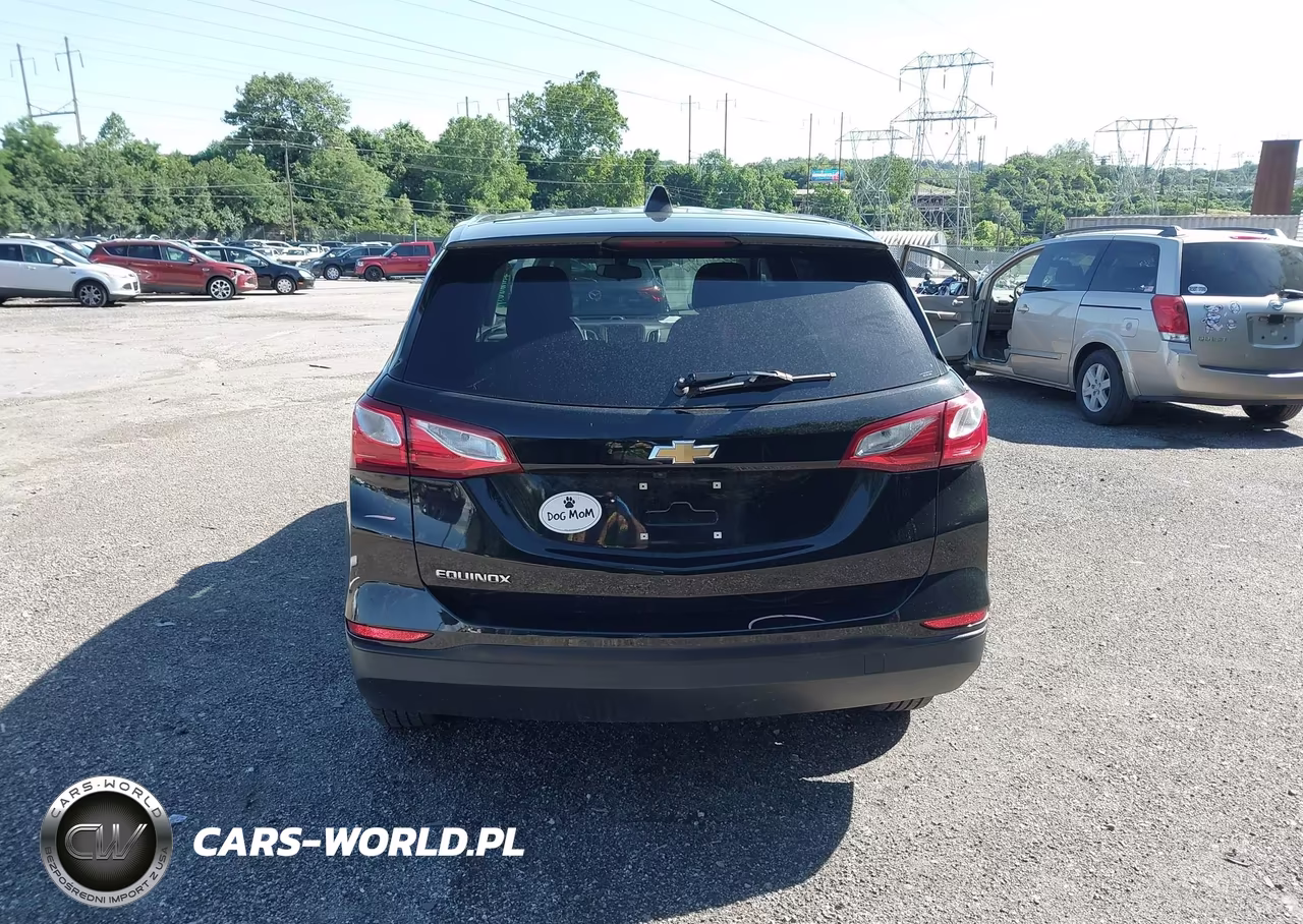 2019 Chevrolet Equinox Ls VIN:2GNAXHEV1K6228464 - 16