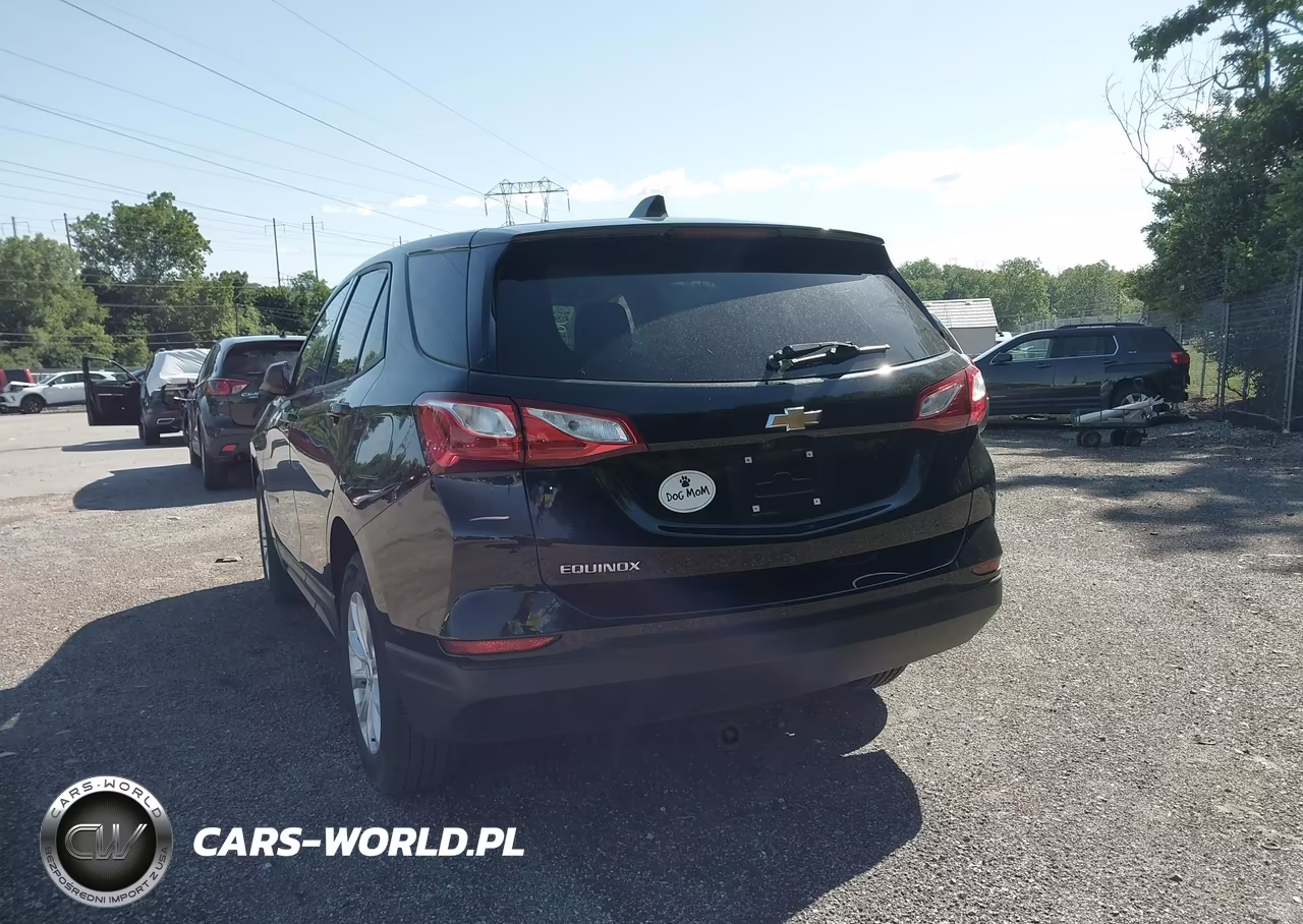 2019 Chevrolet Equinox Ls VIN:2GNAXHEV1K6228464 - 18