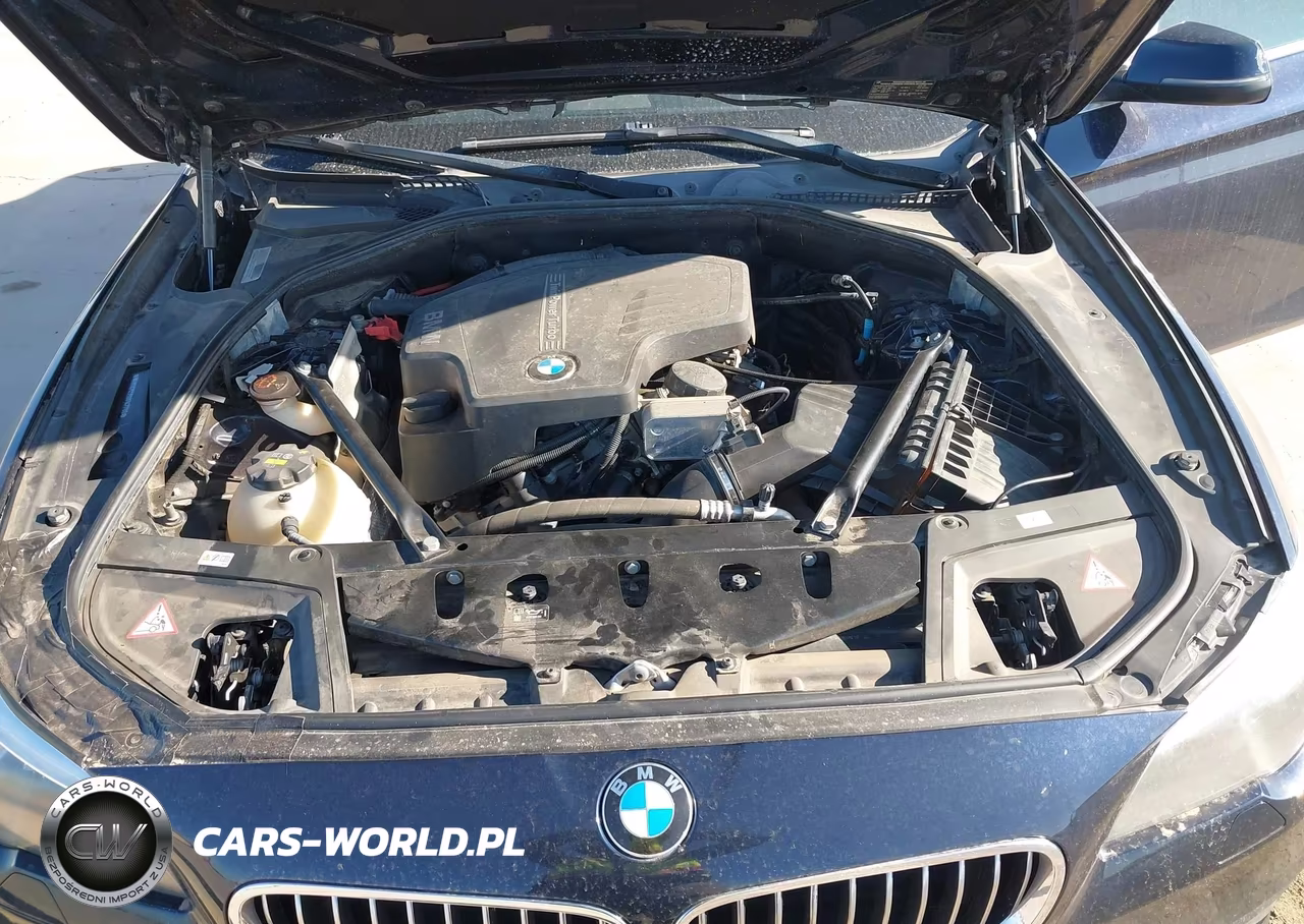 2016 BMW 528I xDrive VIN:WBA5A7C55GG147786 - 10