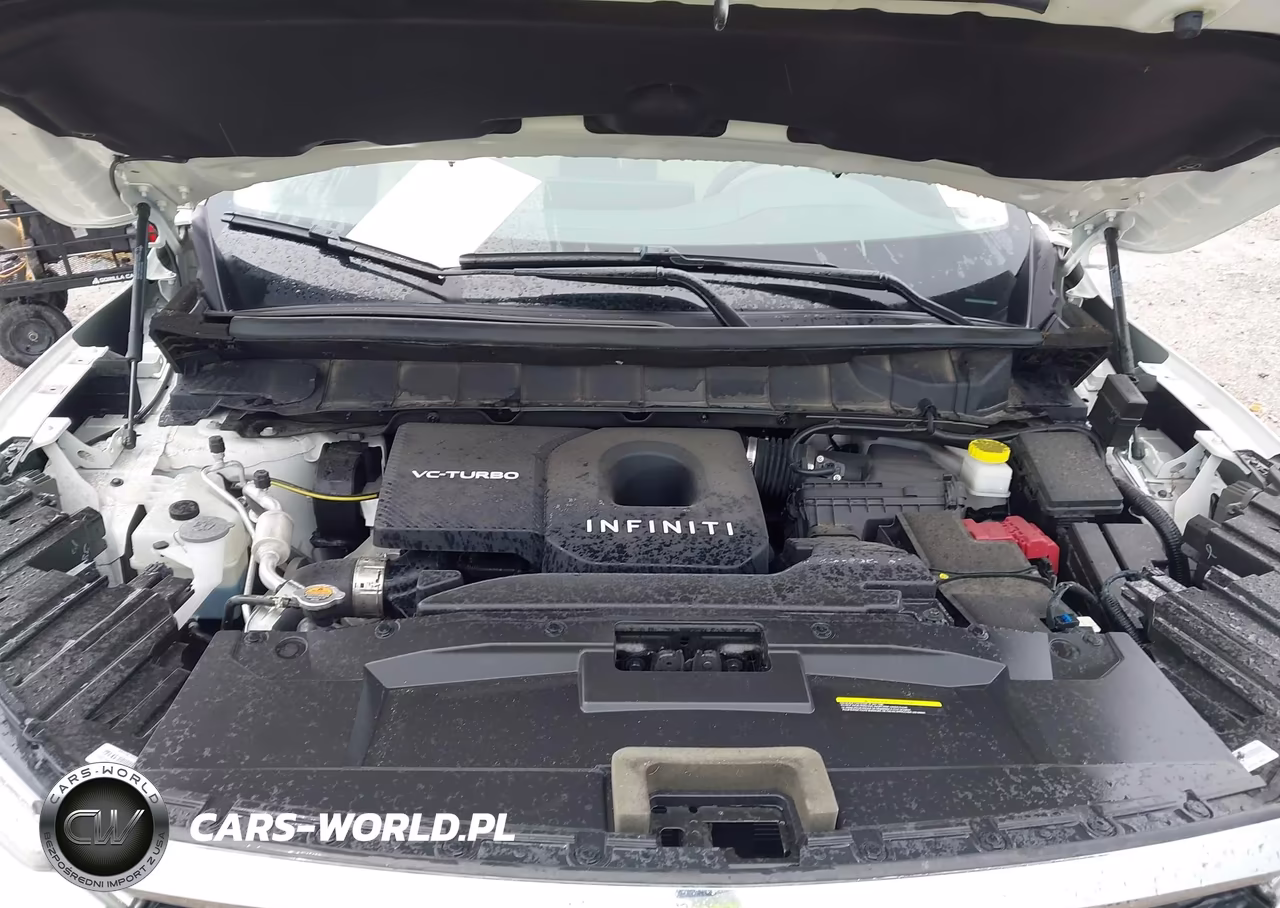 2025 Infiniti Qx60 Luxe VIN:5N1AL1FR5SC352964 - 10