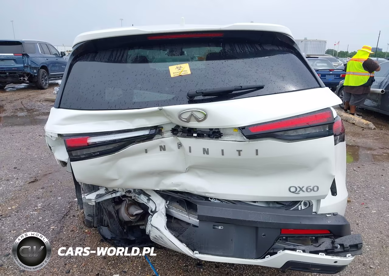 2025 Infiniti Qx60 Luxe VIN:5N1AL1FR5SC352964 - 16