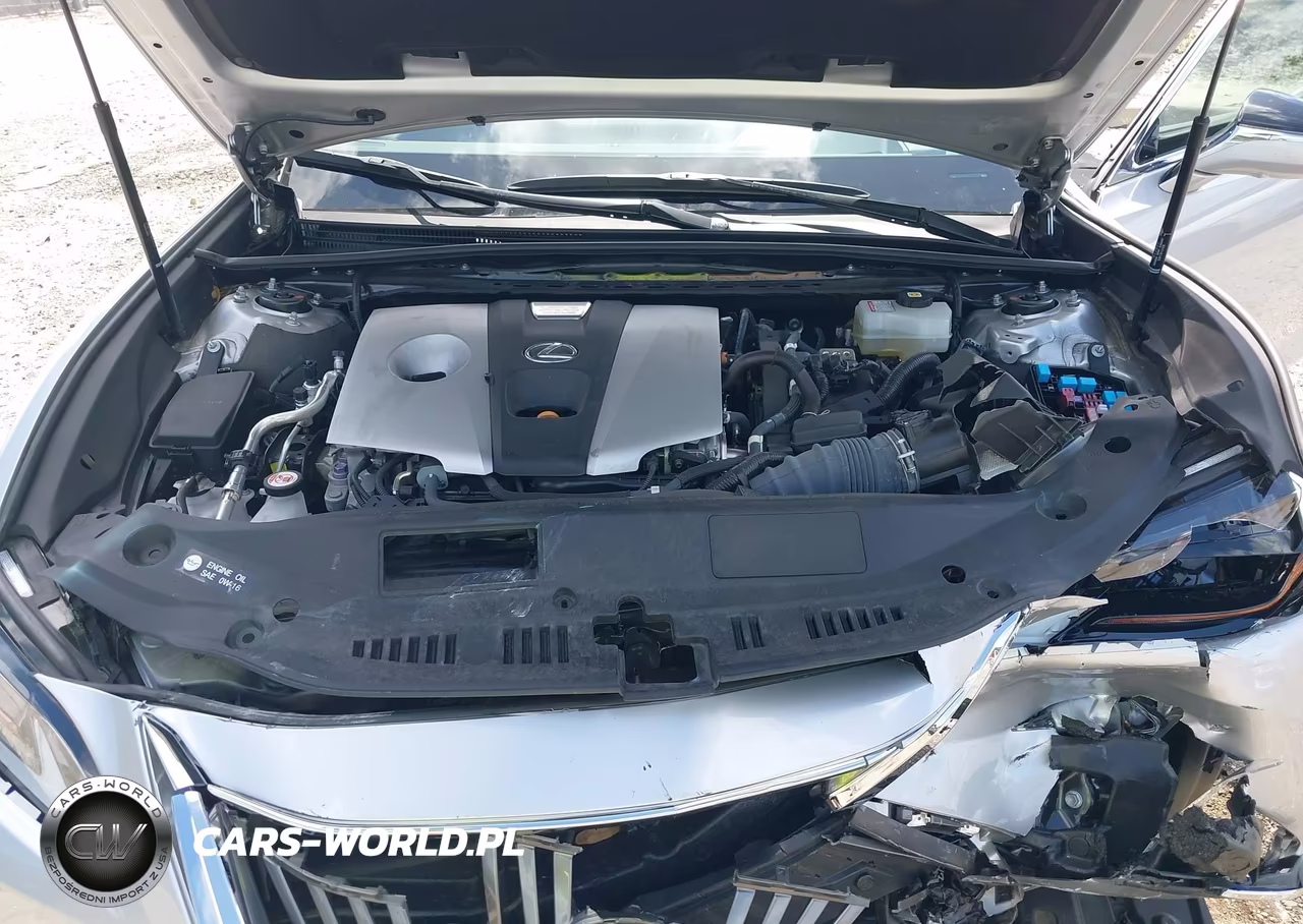 2021 Lexus Es 300H Ultra Luxury VIN:58AFA1C19MU006898 - 10