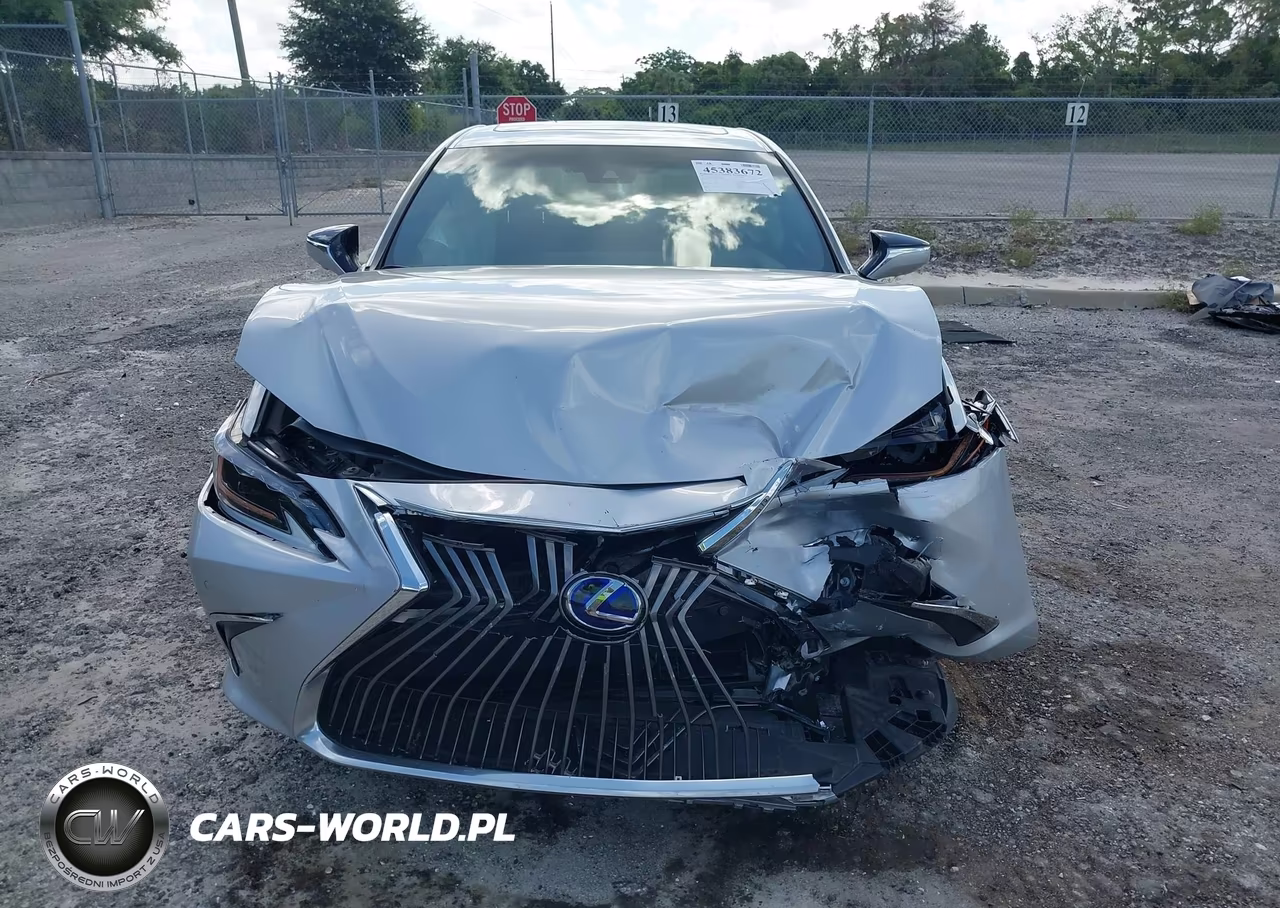 2021 Lexus Es 300H Ultra Luxury VIN:58AFA1C19MU006898 - 12