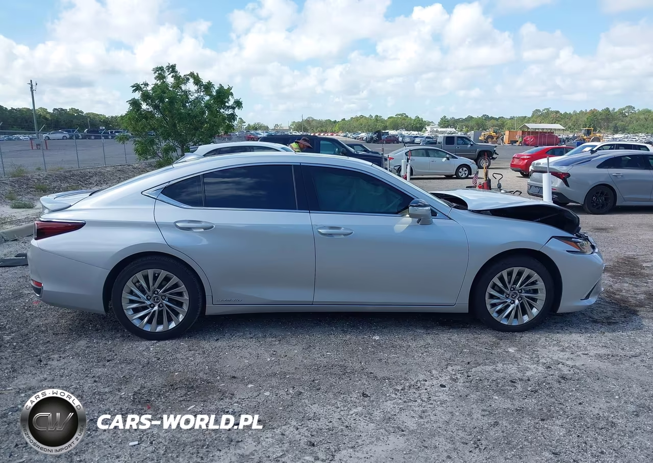 2021 Lexus Es 300H Ultra Luxury VIN:58AFA1C19MU006898 - 13