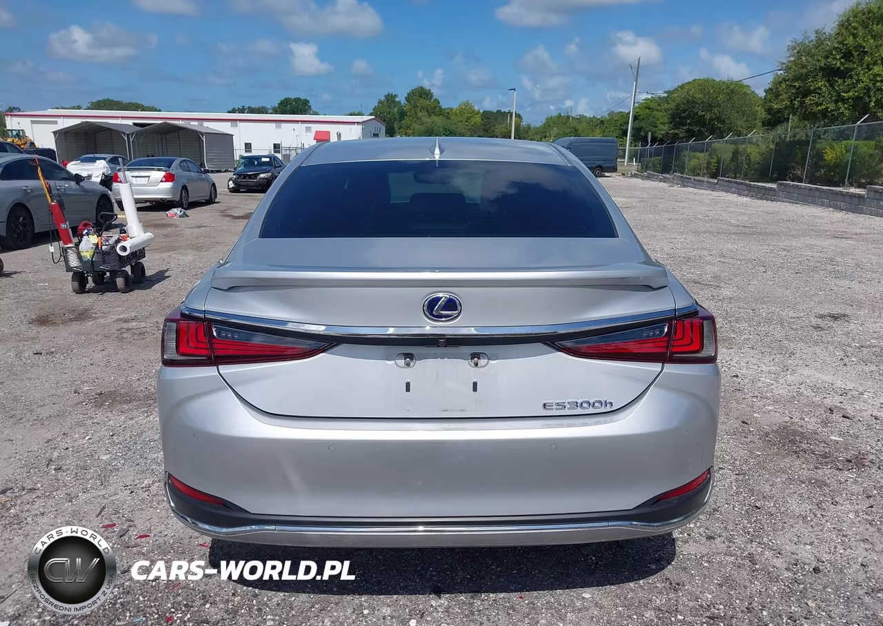 2021 Lexus Es 300H Ultra Luxury VIN:58AFA1C19MU006898 - 16