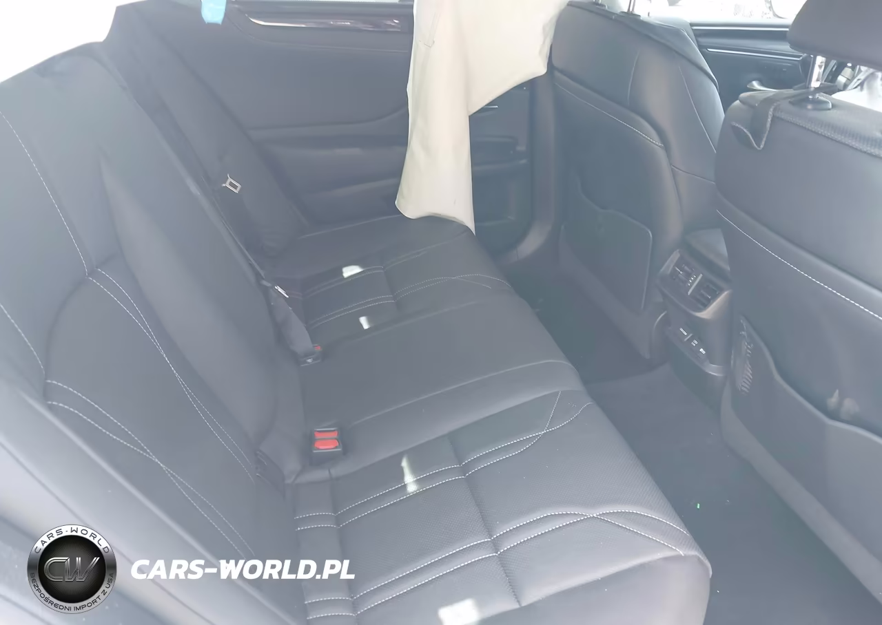2021 Lexus Es 300H Ultra Luxury VIN:58AFA1C19MU006898 - 8