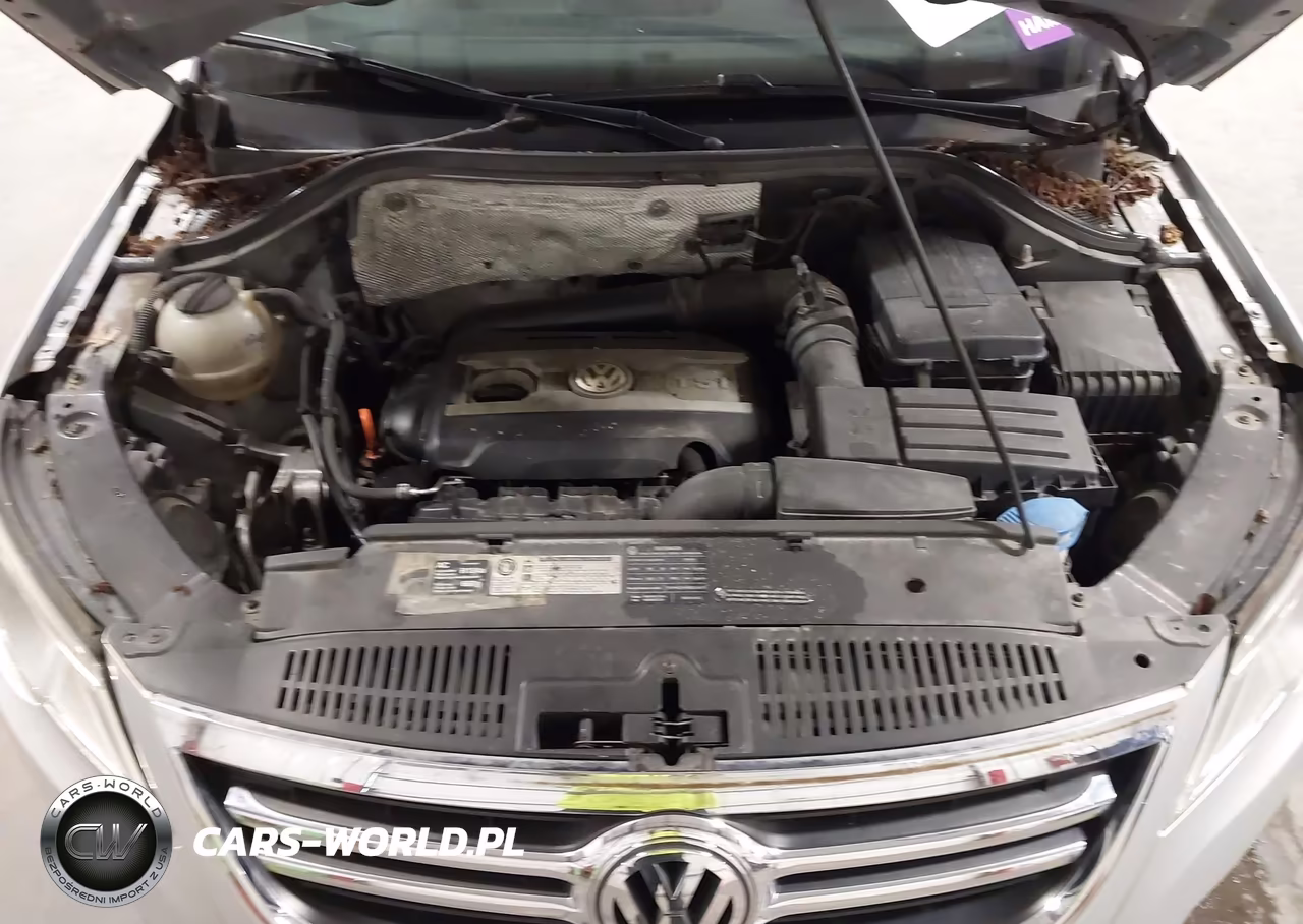 2009 Volkswagen Tiguan Sel VIN:WVGBV75N59W527271 - 10