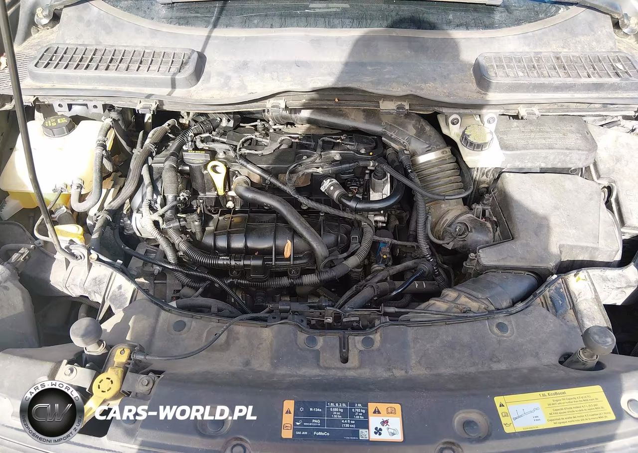 2014 Ford Escape Se VIN:1FMCU0GX8EUA61872 - 10